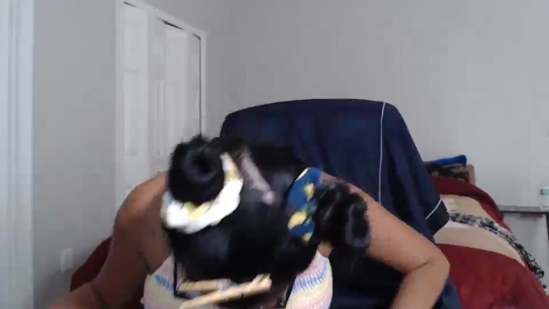 Gallery image thumbnail from Littlekai2023's myfreecams stream on, 07/07/2024, 22:00 image 8 of 20