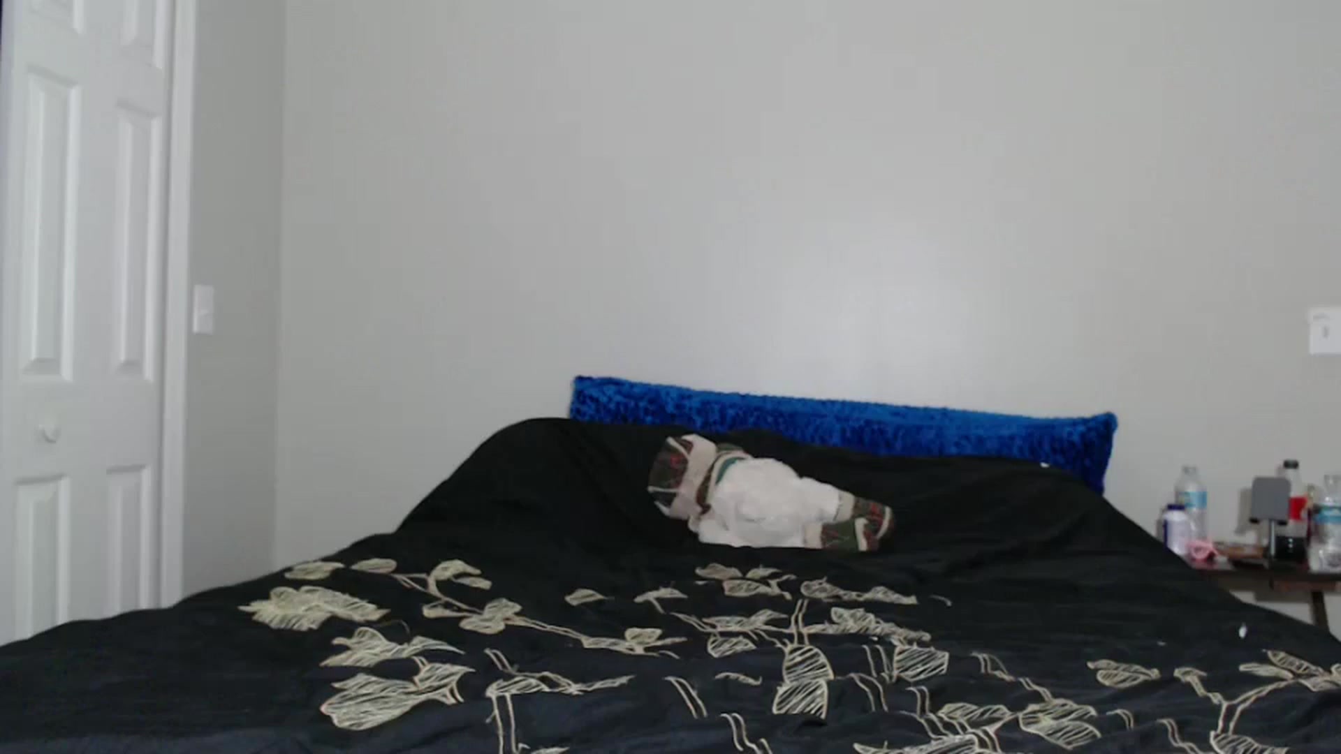 Gallery image thumbnail from Littlekai2023's myfreecams stream on, 08/26/2024, 02:24 image 1 of 20