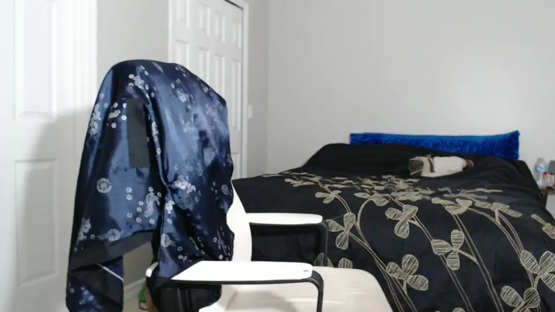 Gallery image thumbnail from Littlekai2023's myfreecams stream on, 09/09/2024, 02:19 image 3 of 20