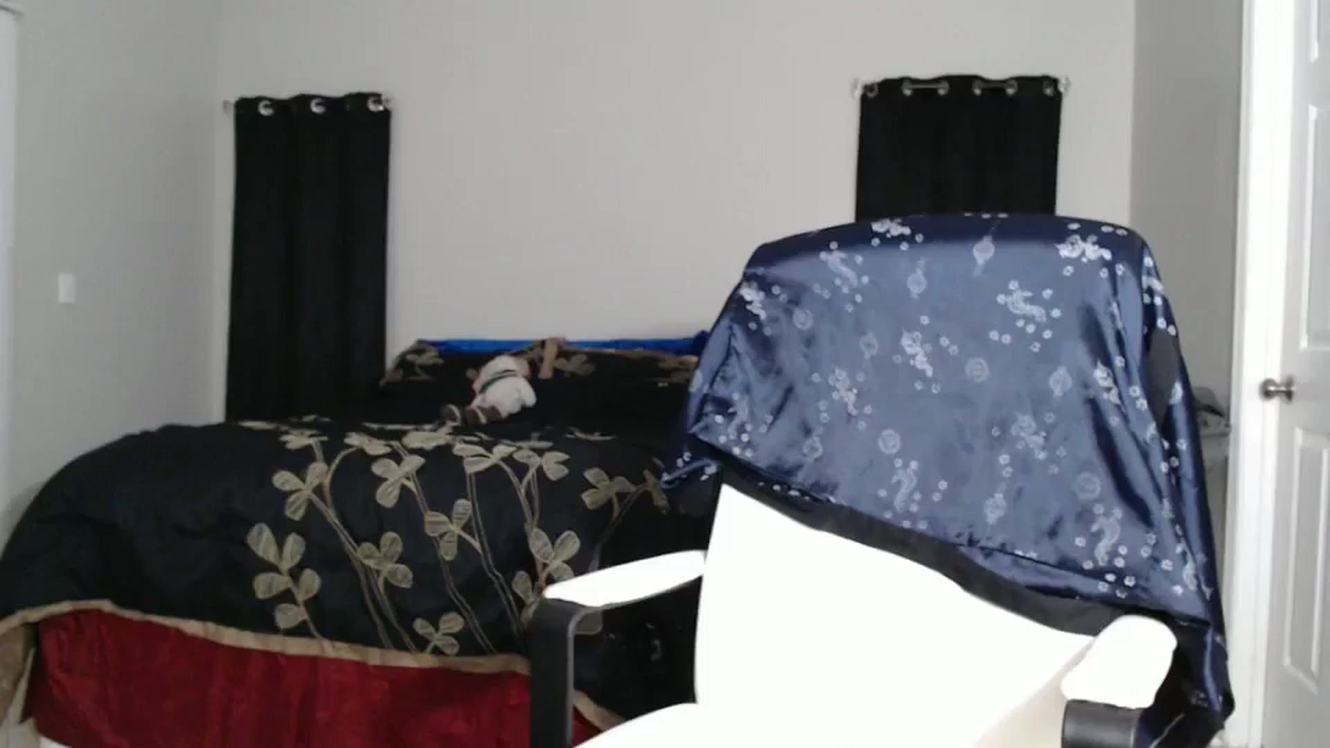Gallery image thumbnail from Littlekai2023's myfreecams stream on, 11/12/2024, 24:44 image 10 of 20