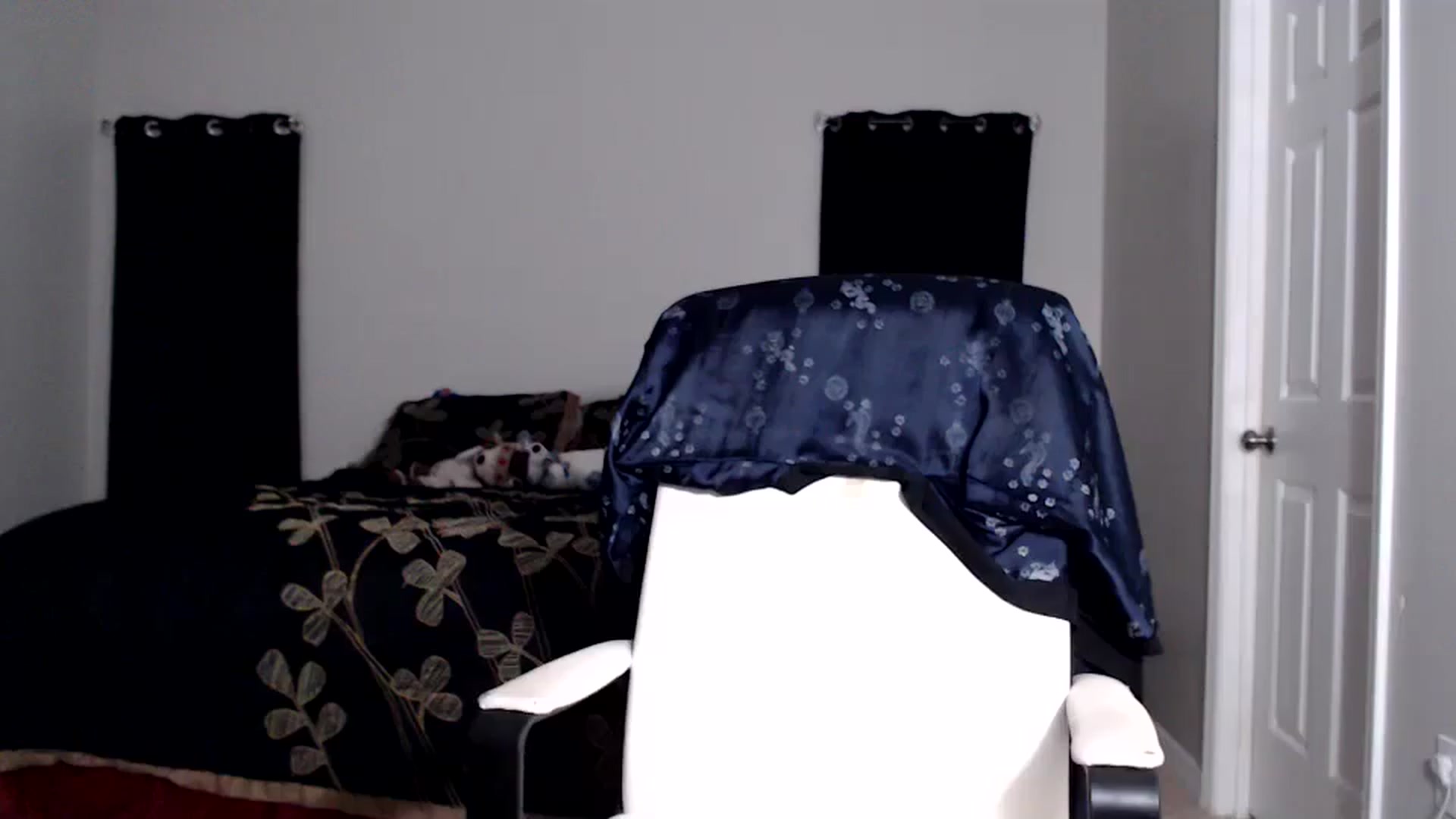 Gallery image thumbnail from Littlekai2025's myfreecams stream on, 05/14/2025, 24:55 image 13 of 20