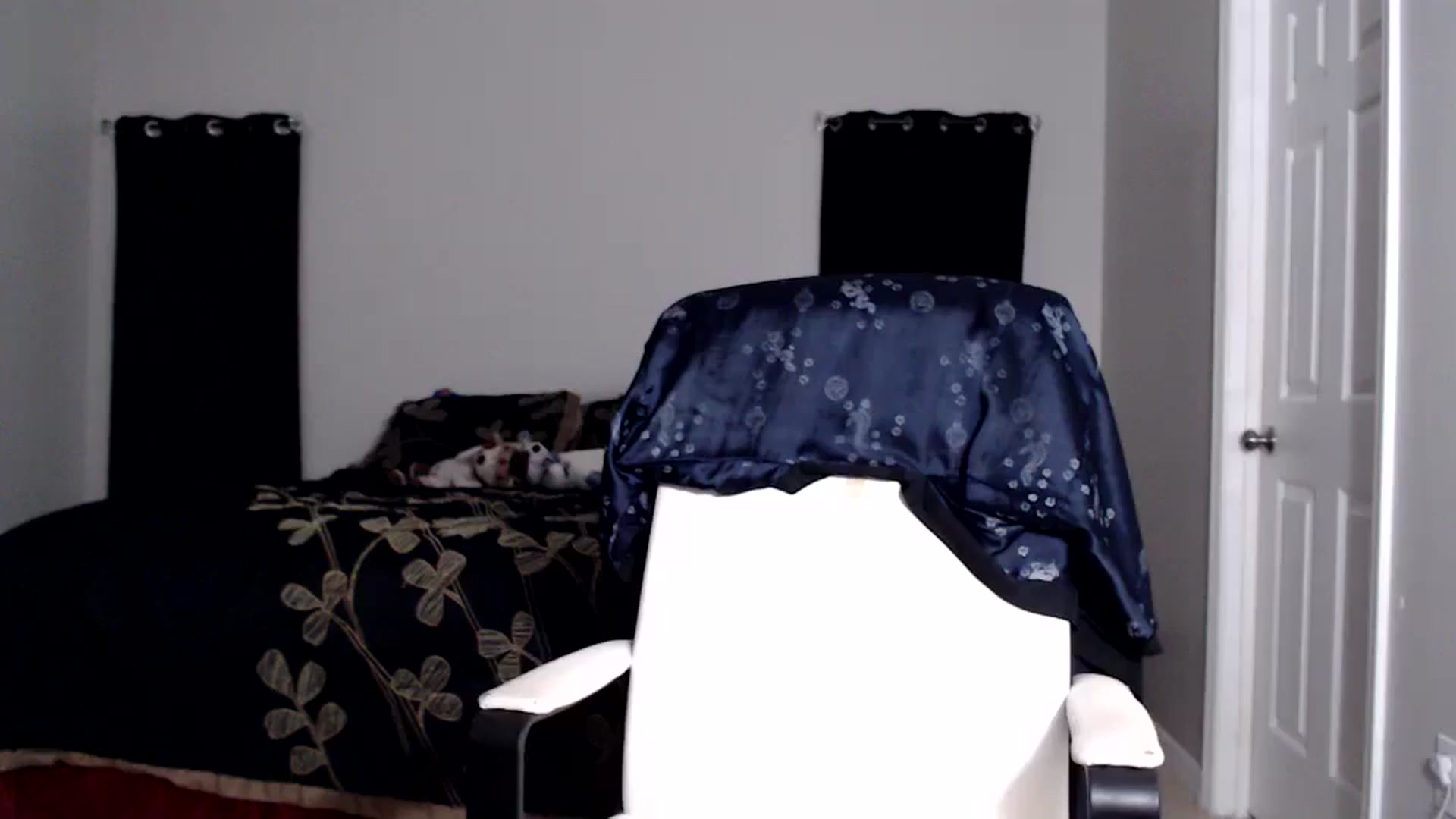 Gallery image thumbnail from Littlekai2025's myfreecams stream on, 05/14/2025, 24:55 image 15 of 20