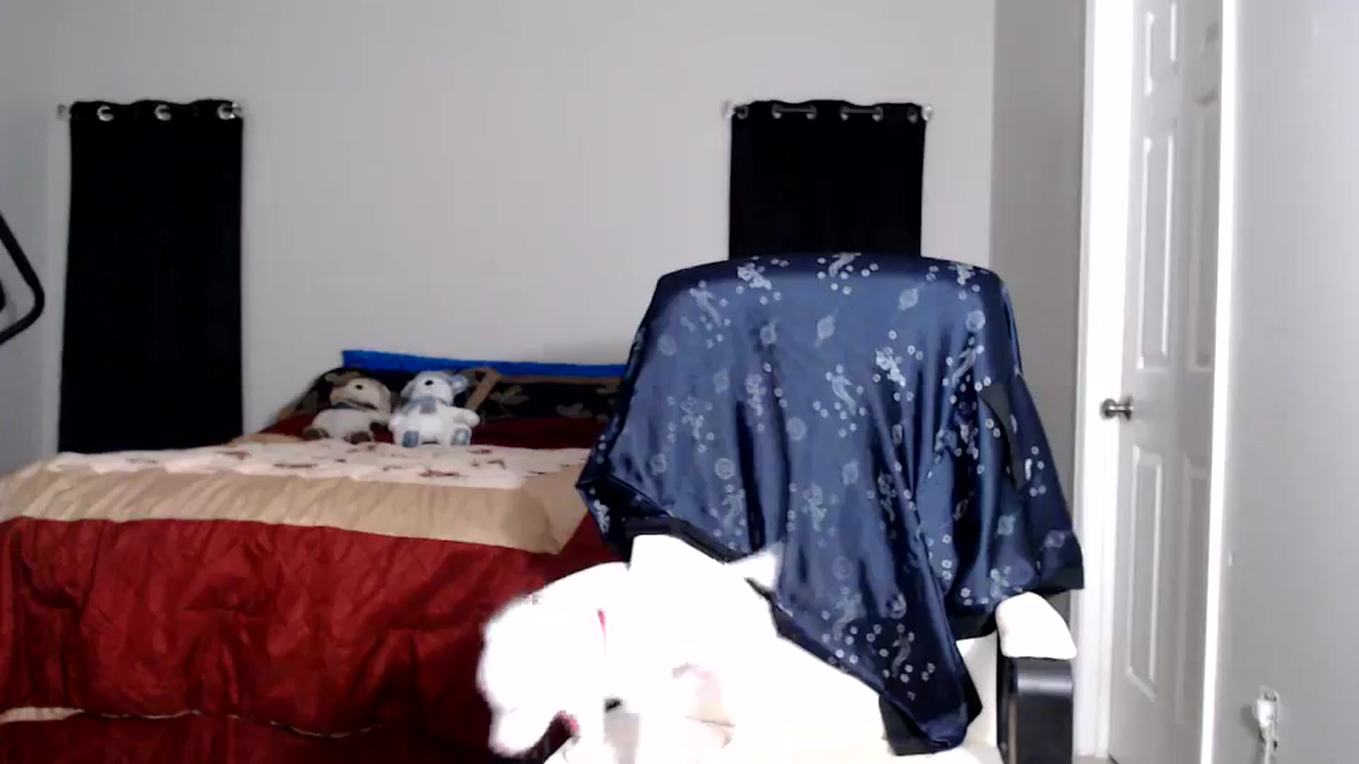Gallery image thumbnail from Littlekai2025's myfreecams stream on, 08/06/2025, 04:22 image 17 of 20