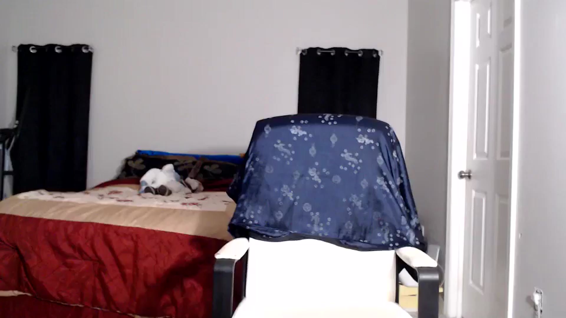 Gallery image thumbnail from Littlekai2025's myfreecams stream on, 11/05/2025, 03:50 image 3 of 20