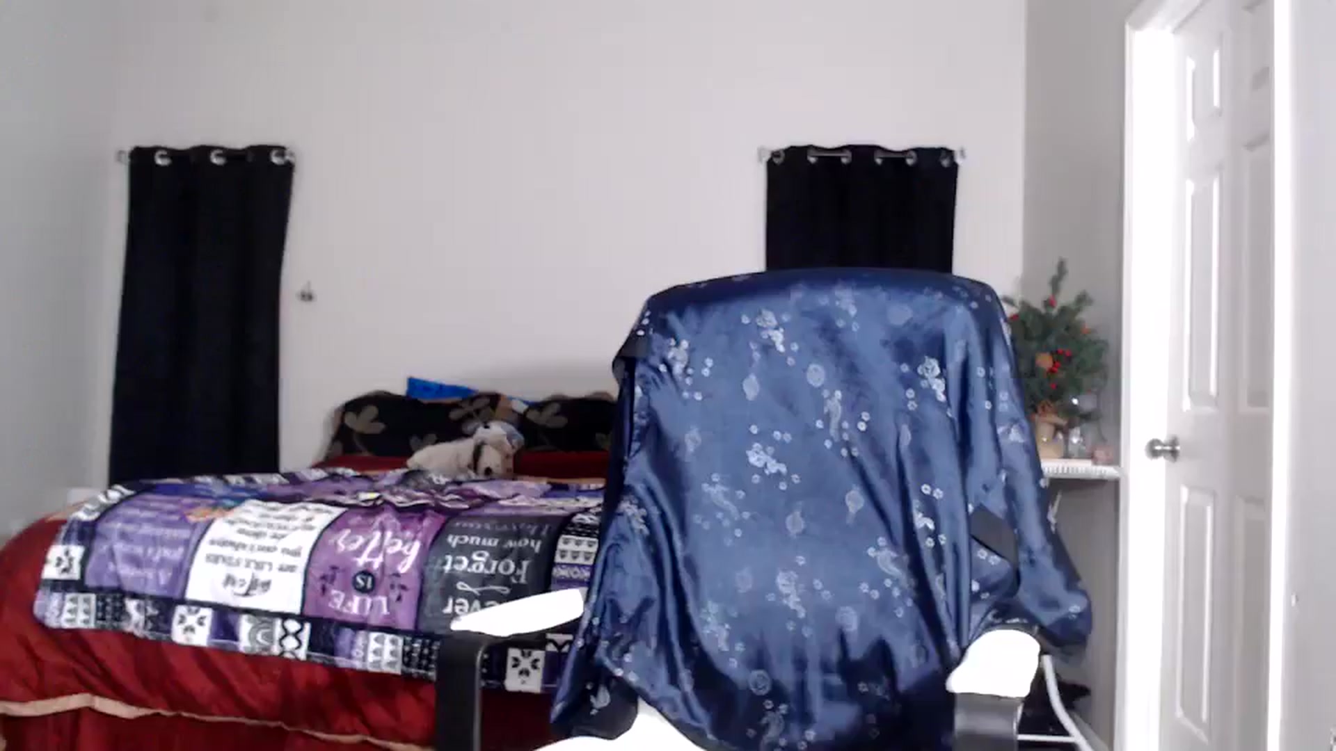 Gallery image thumbnail from Littlekai2025's myfreecams stream on, 12/21/2025, 24:54 image 6 of 20