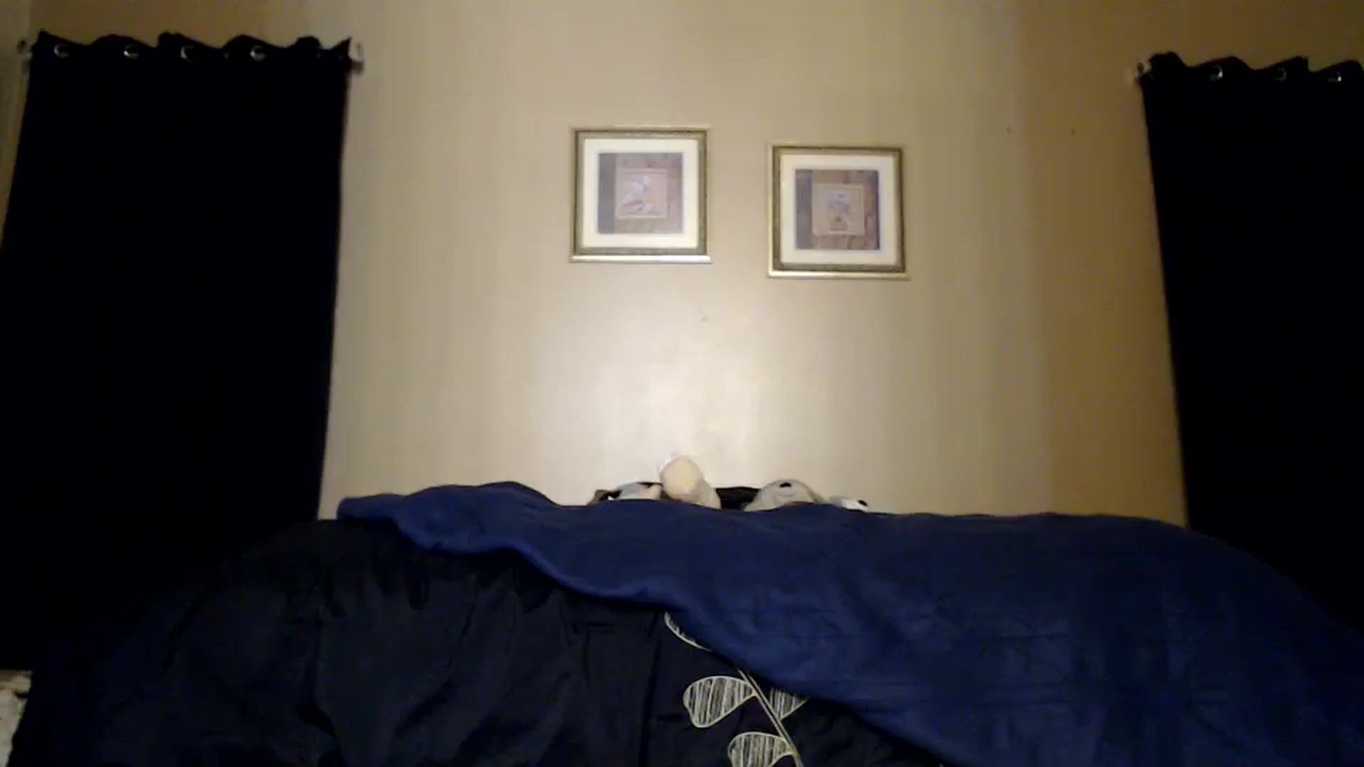 Gallery image thumbnail from Littlekai2030's myfreecams stream on, 02/22/2026, 02:22 image 6 of 20