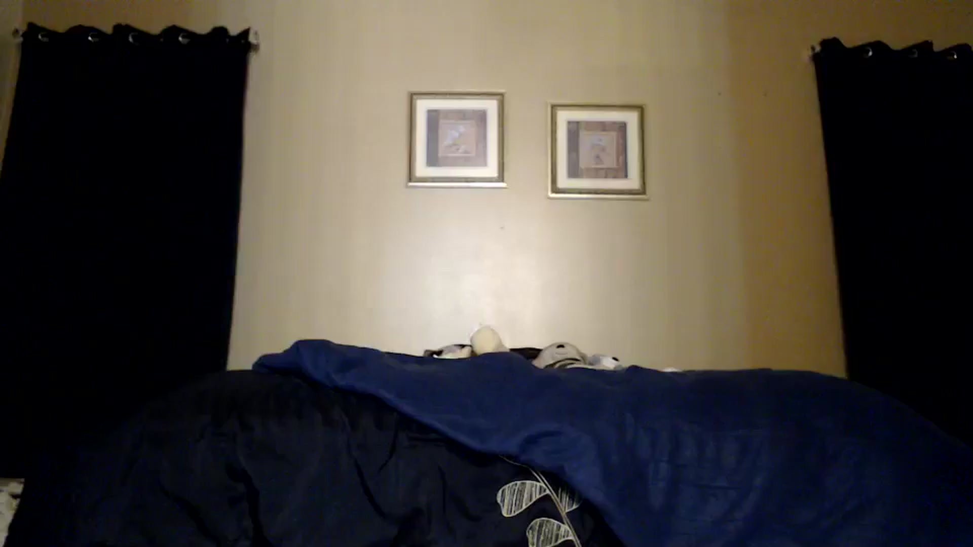 Gallery image thumbnail from Littlekai2030's myfreecams stream on, 02/22/2026, 02:22 image 20 of 20