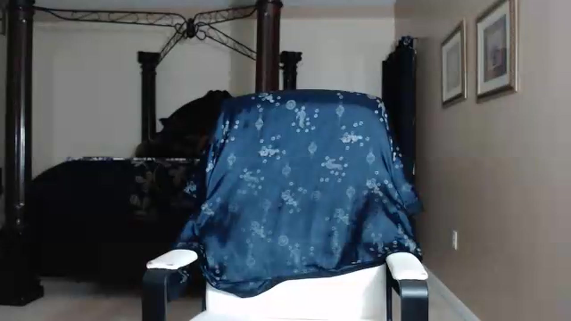 Gallery image thumbnail from Littlekai2030's myfreecams stream on, 05/15/2026, 03:54 image 8 of 20