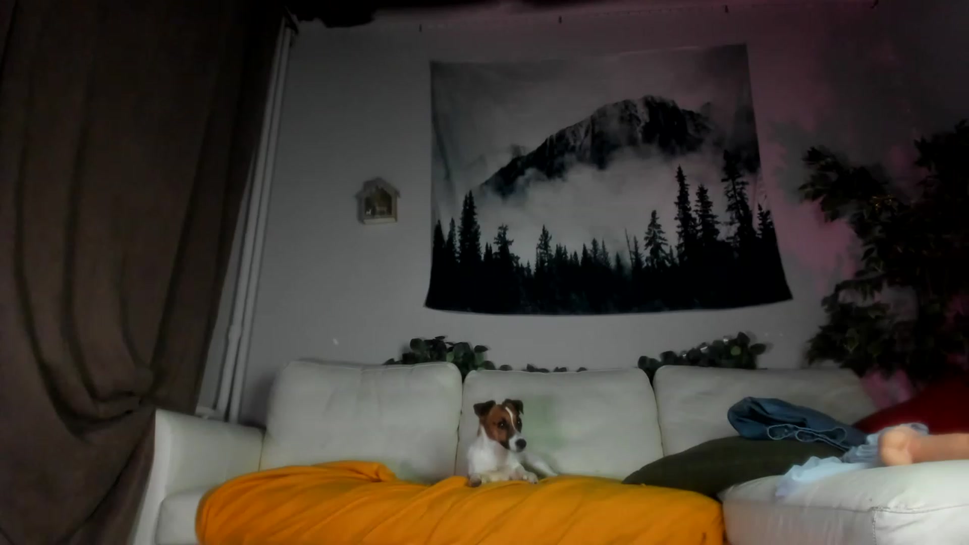 Gallery image thumbnail from Littlewetgirl's myfreecams stream on, 04/29/2023, 15:27 image 8 of 20
