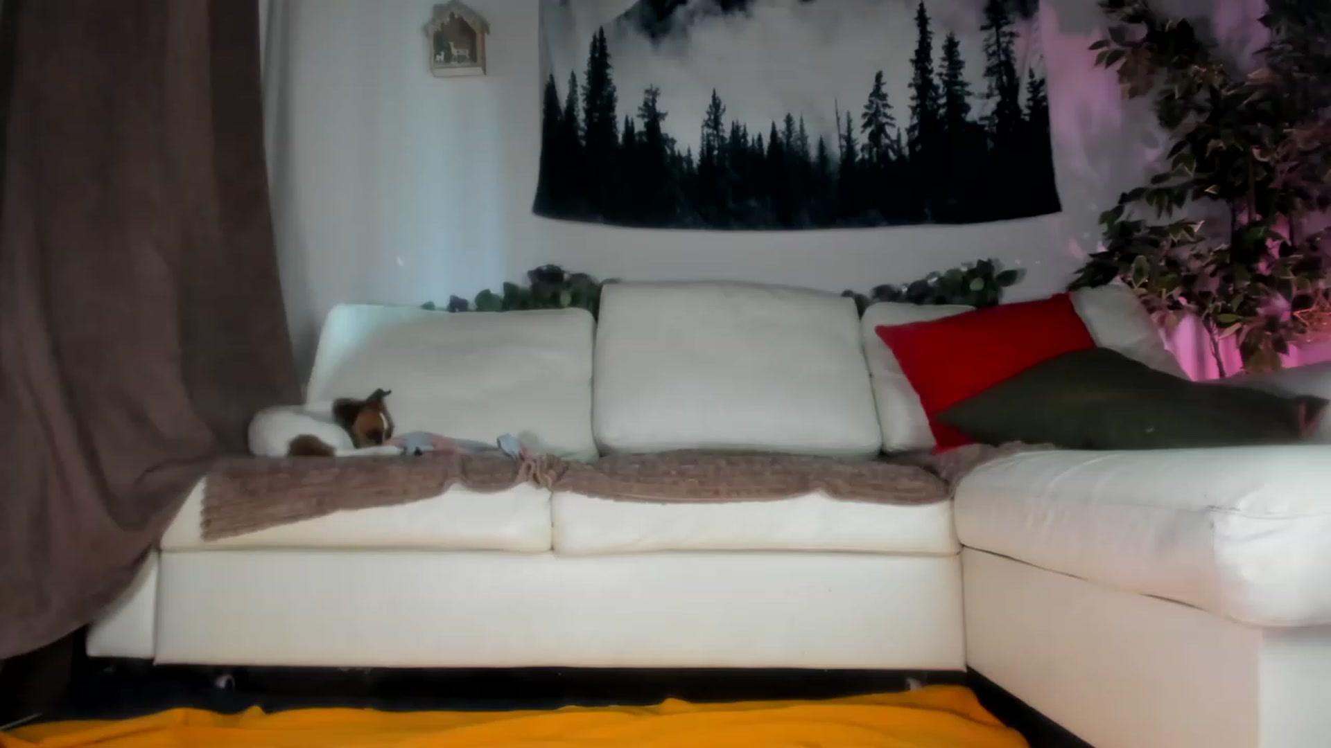 Gallery image thumbnail from Littlewetgirl's myfreecams stream on, 05/14/2023, 09:14 image 19 of 20