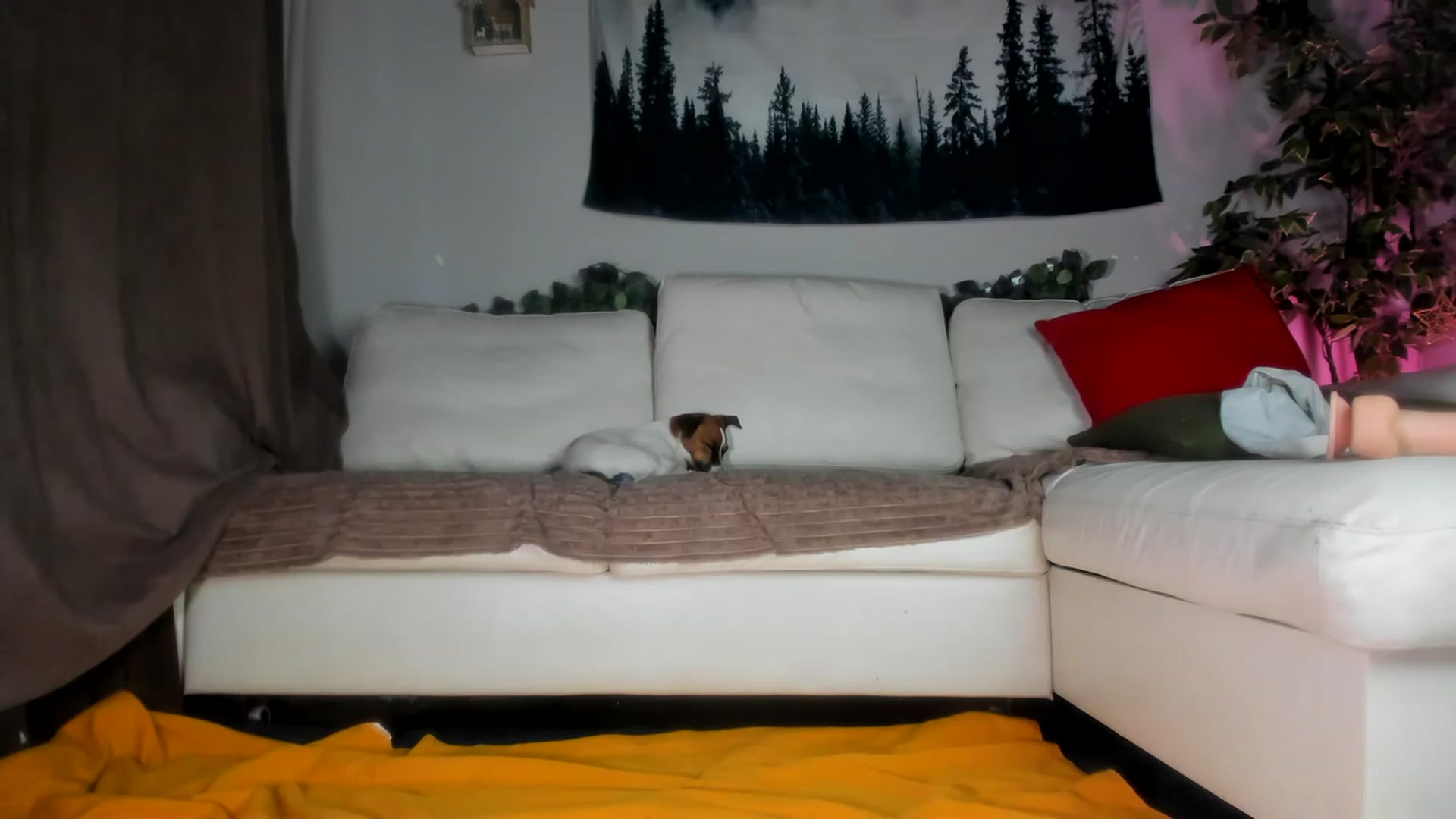 Gallery image thumbnail from Littlewetgirl's myfreecams stream on, 05/15/2023, 11:39 image 20 of 20