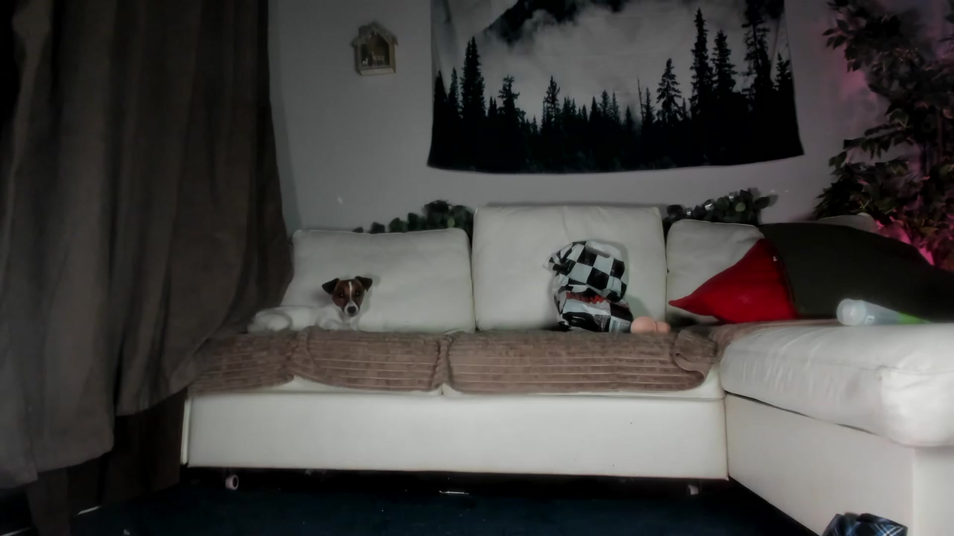 Gallery image thumbnail from Littlewetgirl's myfreecams stream on, 05/24/2023, 16:01 image 4 of 20