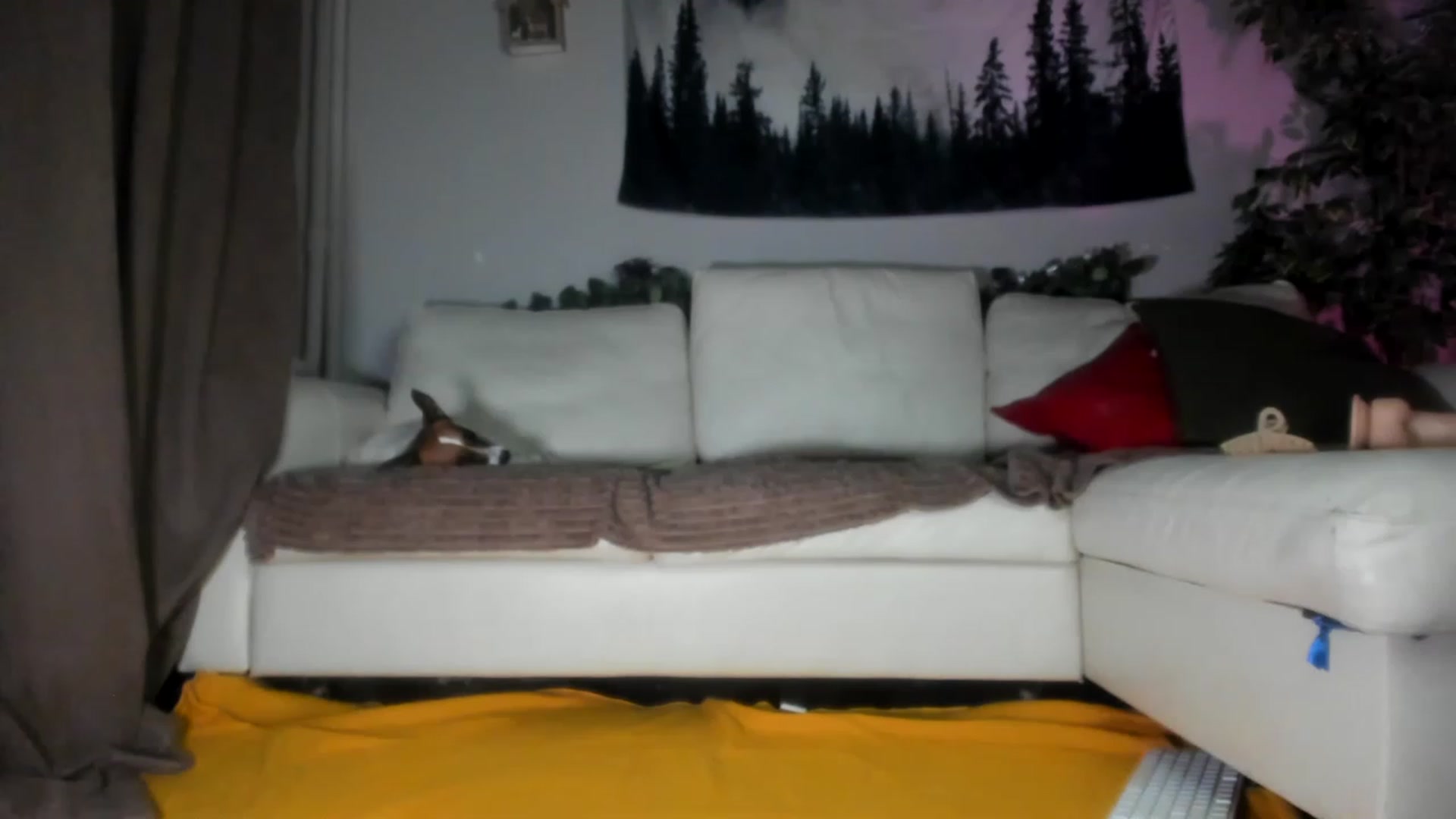 Gallery image thumbnail from Littlewetgirl's myfreecams stream on, 05/27/2023, 14:36 image 12 of 20