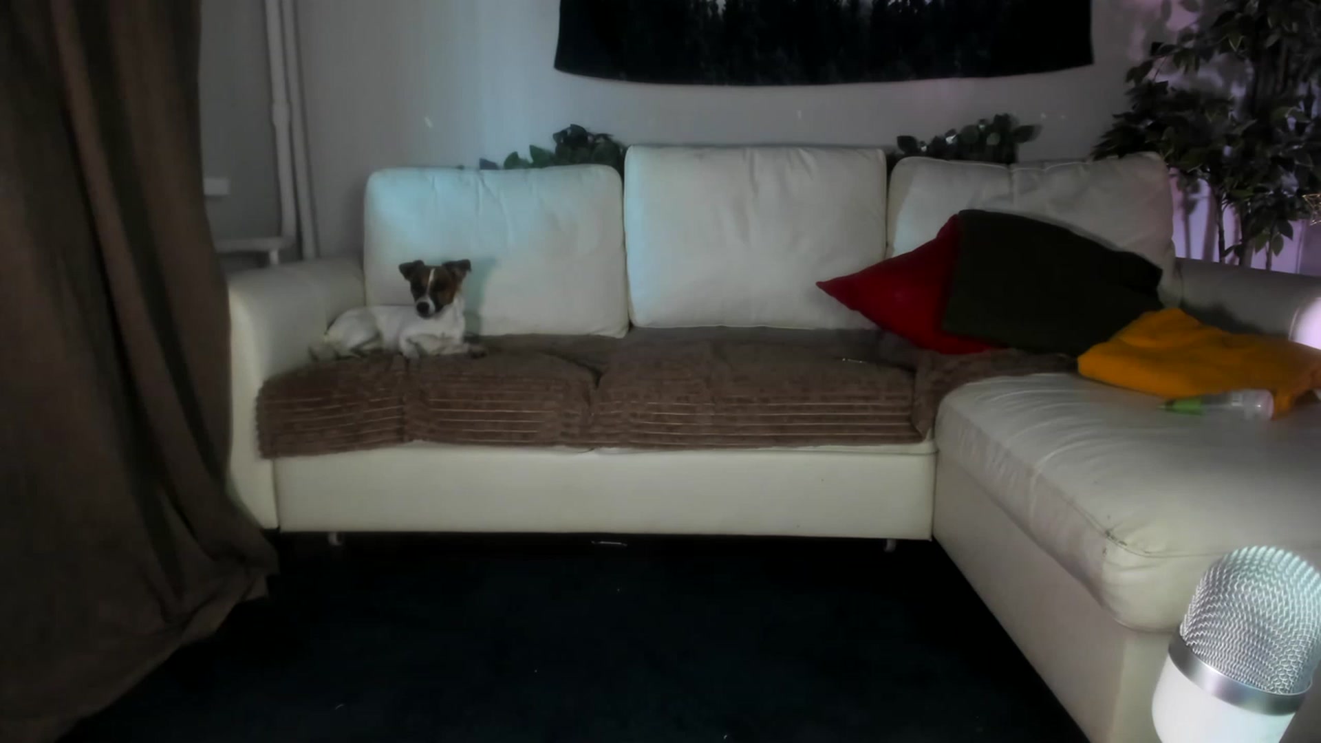 Gallery image thumbnail from Littlewetgirl's myfreecams stream on, 06/02/2023, 12:45 image 13 of 20