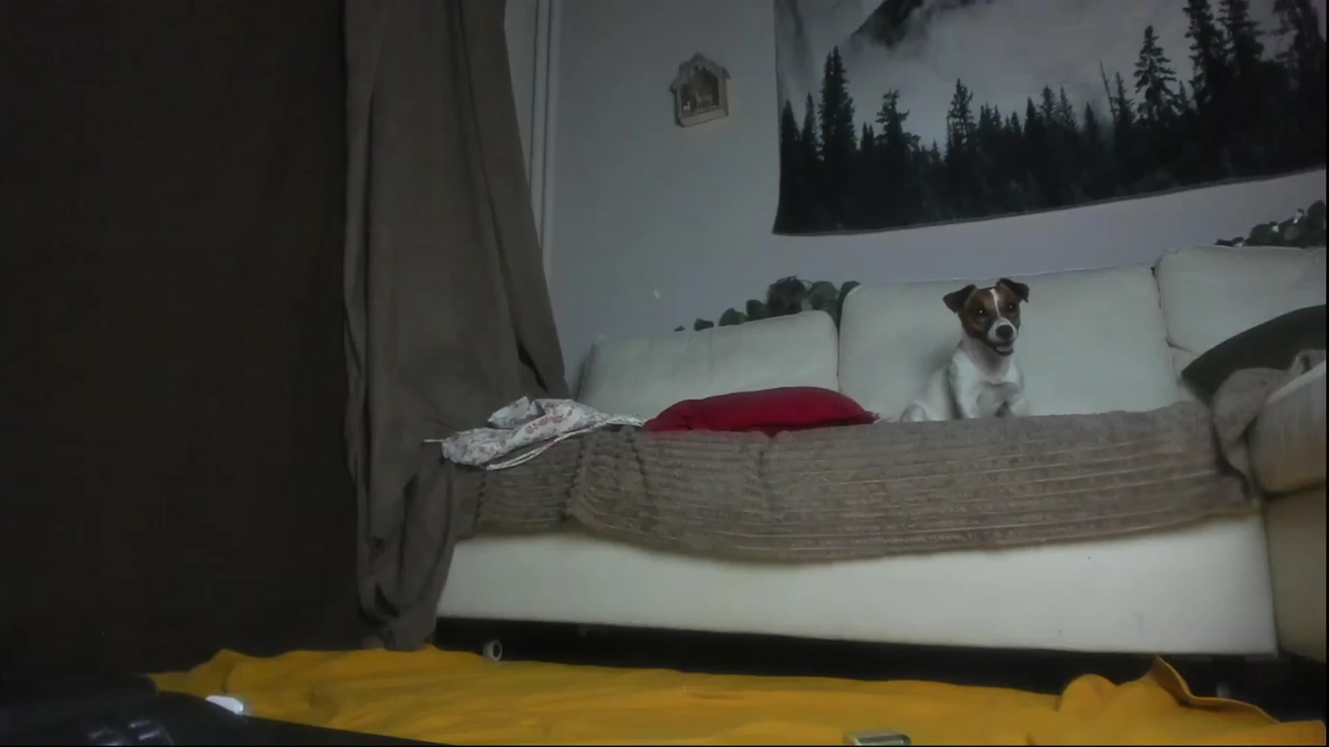Gallery image thumbnail from Littlewetgirl's myfreecams stream on, 06/09/2023, 15:07 image 16 of 20