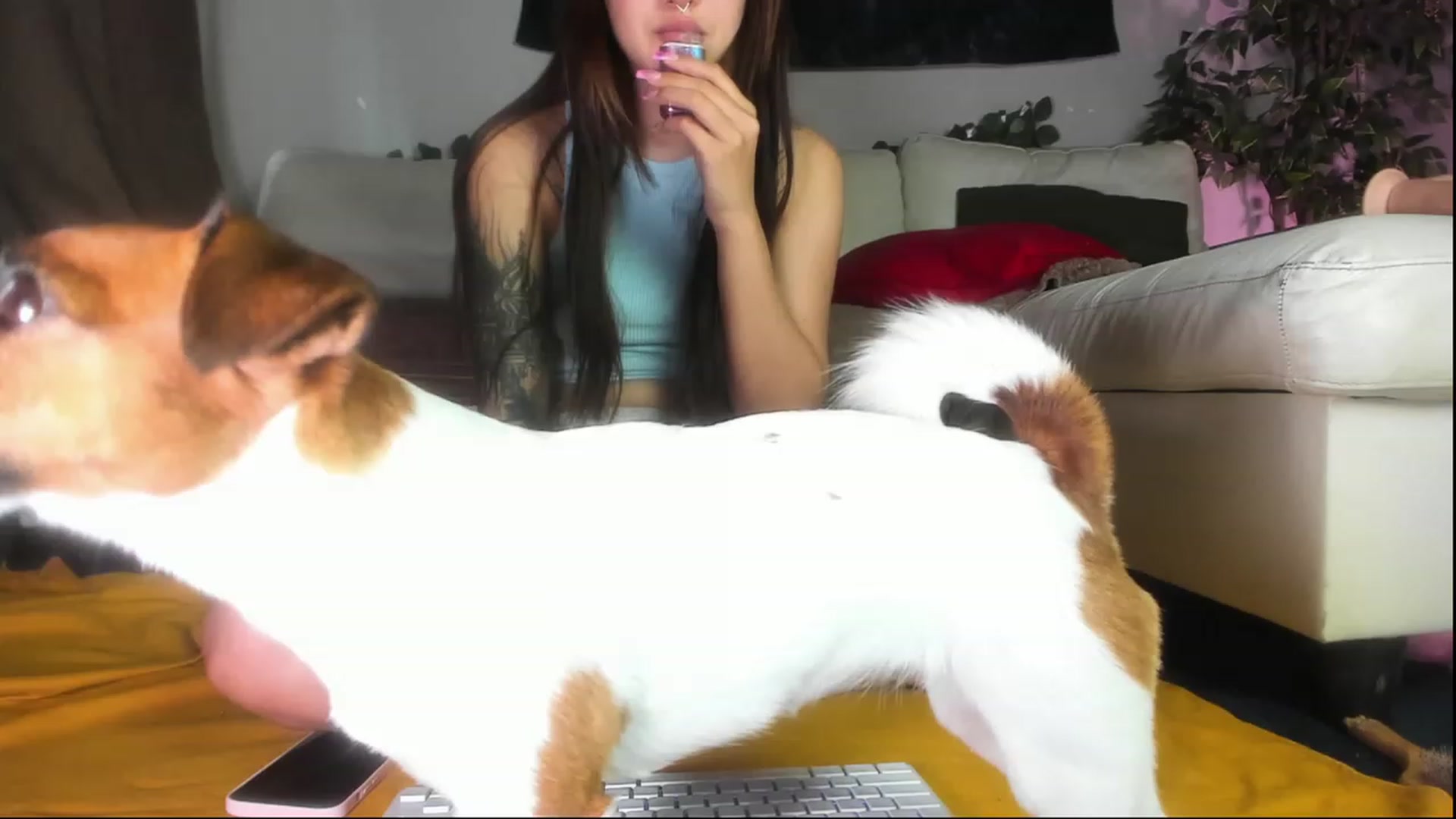 Gallery image thumbnail from Littlewetgirl's myfreecams stream on, 06/18/2023, 06:50 image 14 of 20