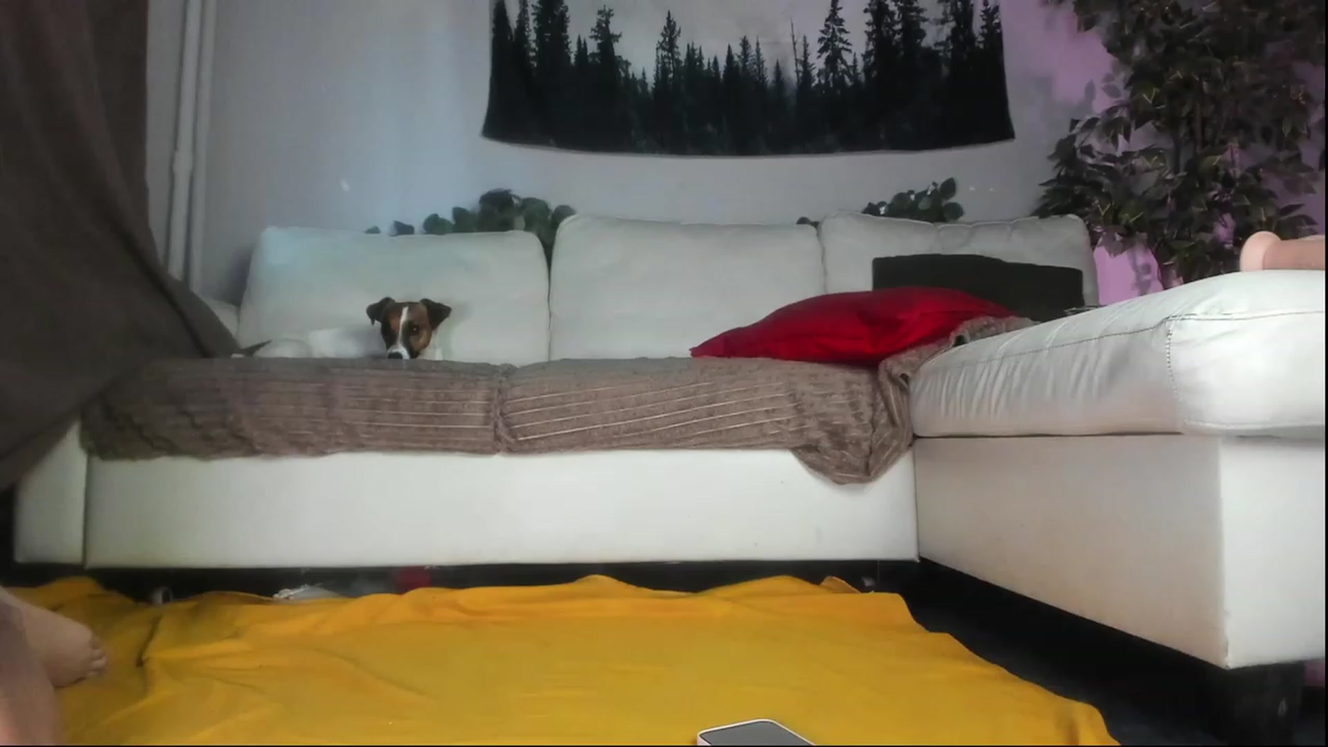 Gallery image thumbnail from Littlewetgirl's myfreecams stream on, 06/18/2023, 12:50 image 2 of 20