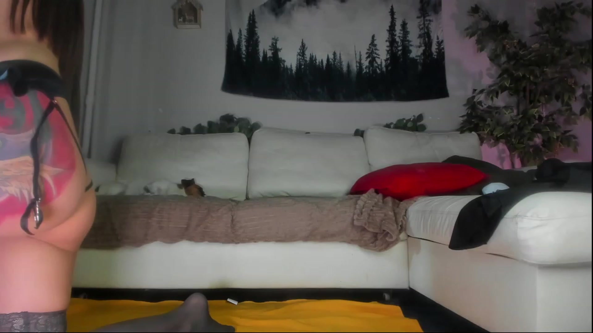 Gallery image thumbnail from Littlewetgirl's myfreecams stream on, 06/25/2023, 06:10 image 12 of 20