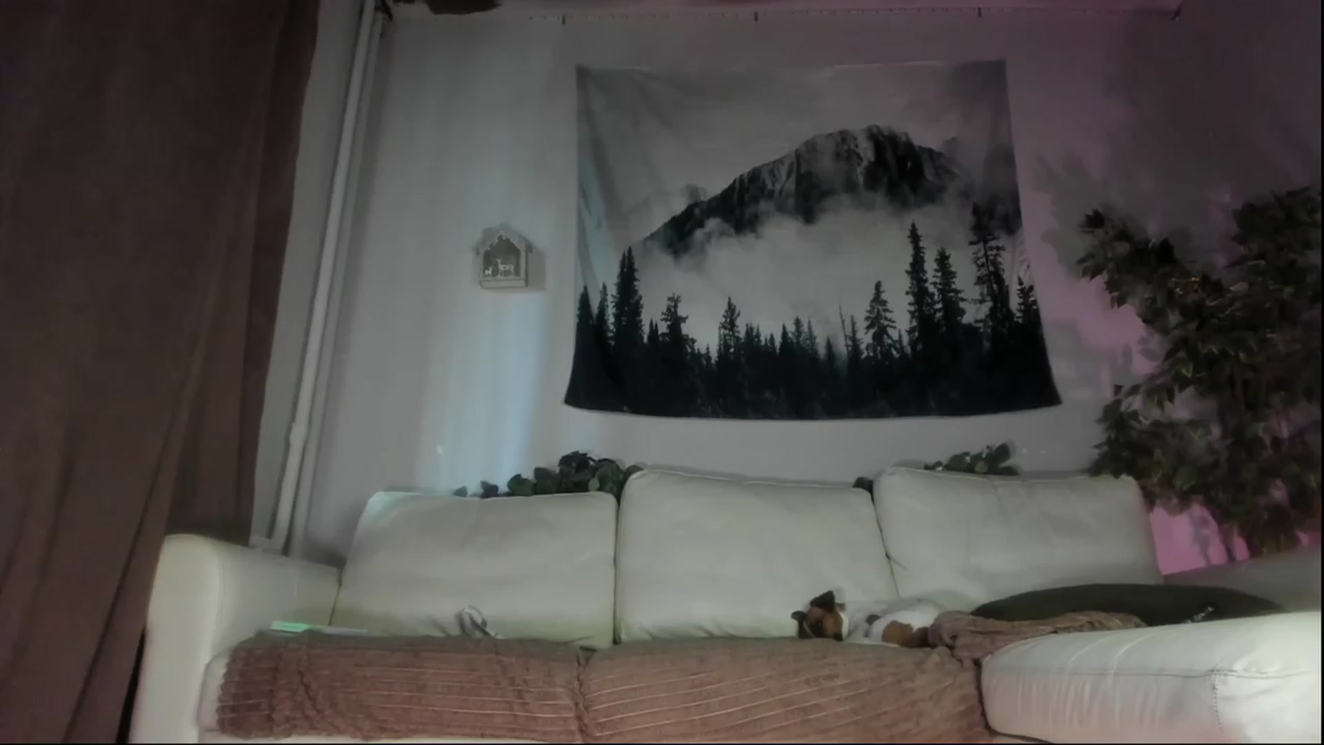 Gallery image thumbnail from Littlewetgirl's myfreecams stream on, 07/03/2023, 04:55 image 3 of 20