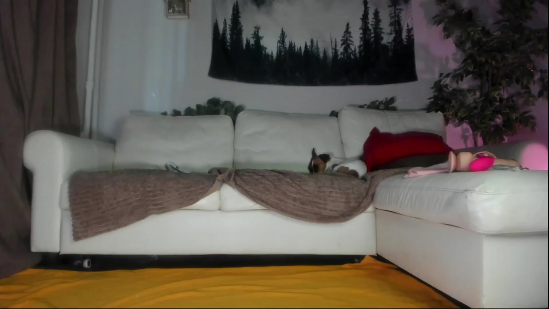 Gallery image thumbnail from Littlewetgirl's myfreecams stream on, 07/04/2023, 04:46 image 18 of 20