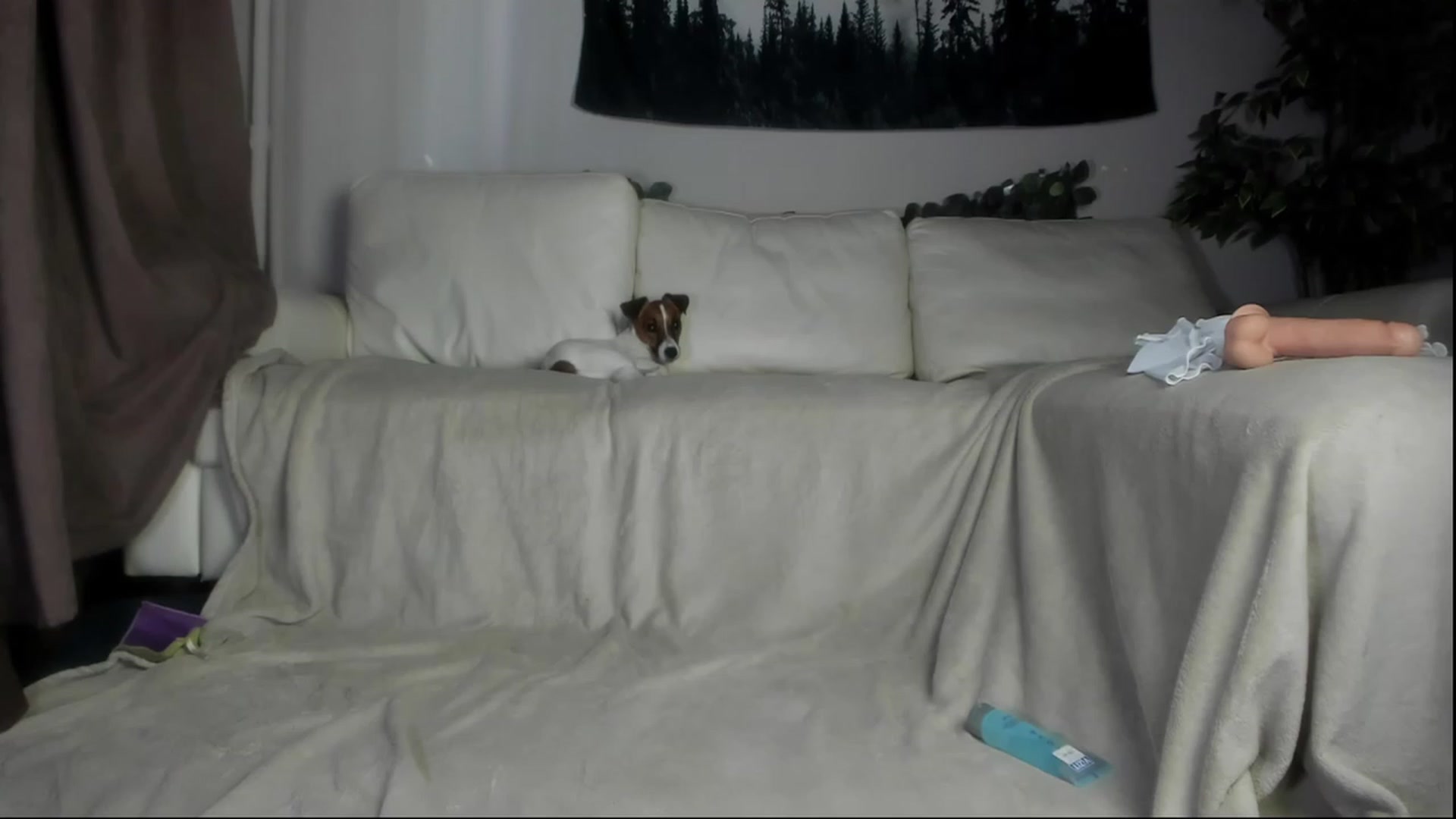 Gallery image thumbnail from Littlewetgirl's myfreecams stream on, 07/10/2023, 08:53 image 15 of 20