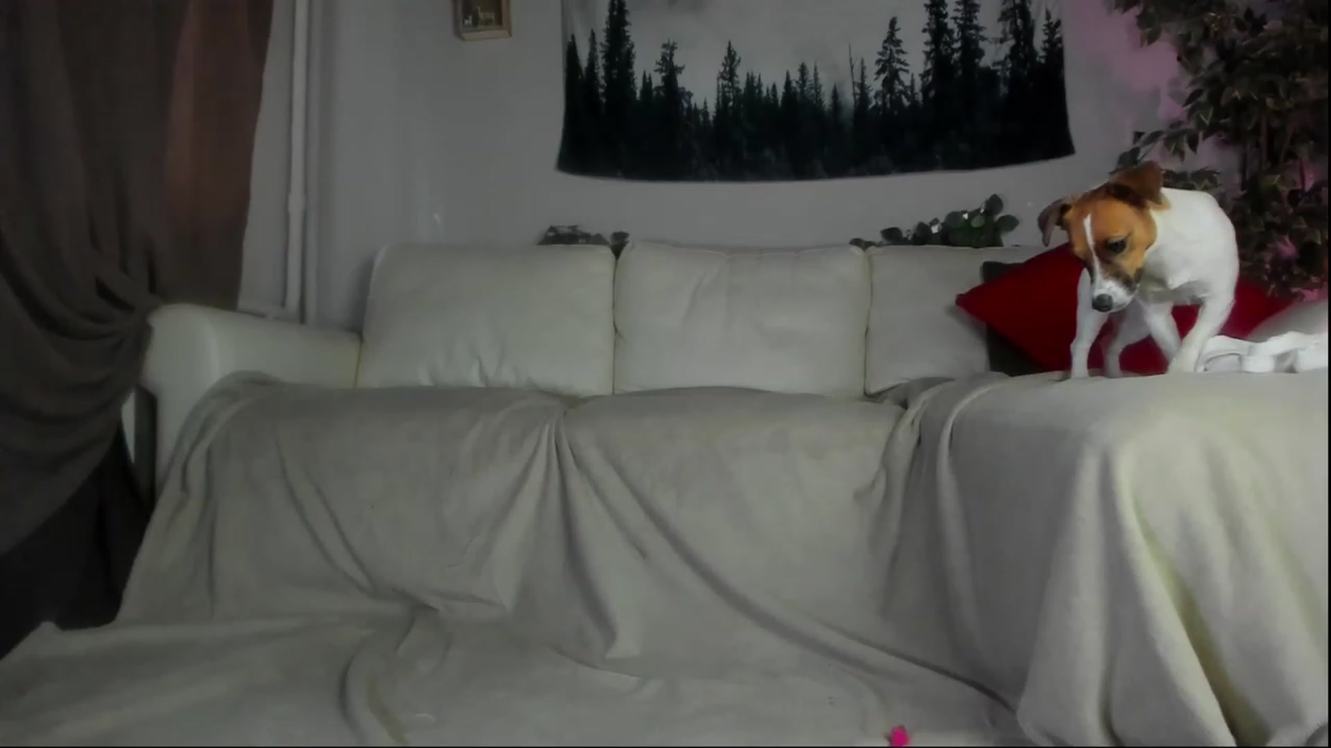 Gallery image thumbnail from Littlewetgirl's myfreecams stream on, 07/27/2023, 05:40 image 11 of 20