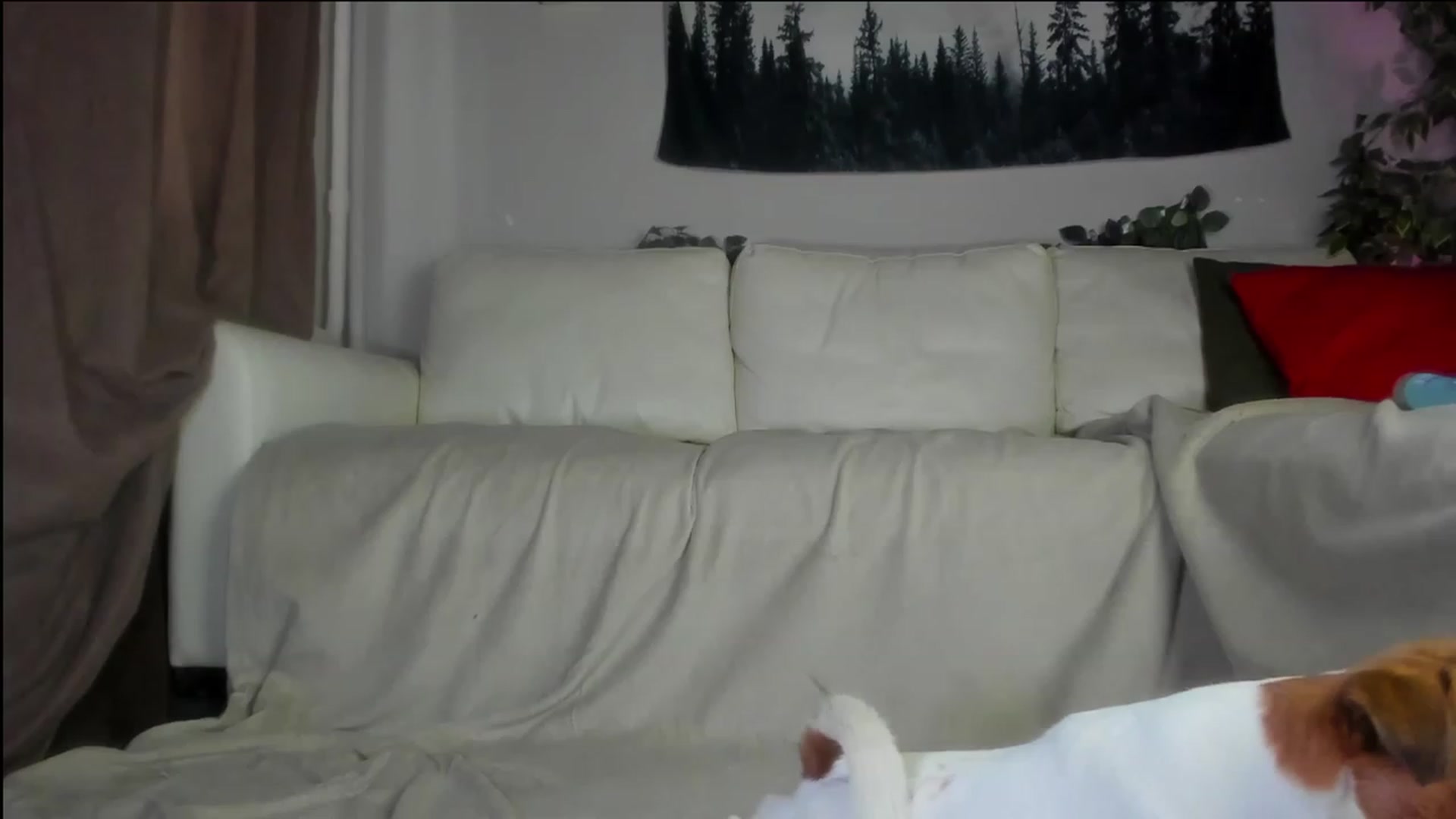 Gallery image thumbnail from Littlewetgirl's myfreecams stream on, 07/29/2023, 05:54 image 5 of 20
