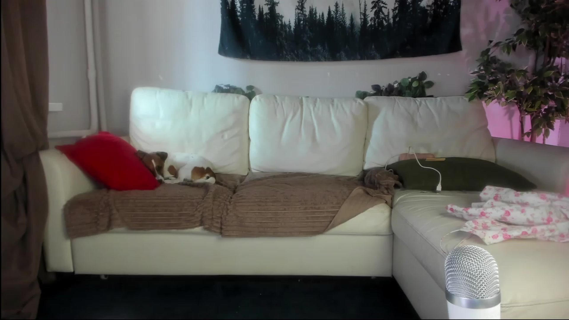 Gallery image thumbnail from Littlewetgirl's myfreecams stream on, 08/07/2023, 05:36 image 9 of 20