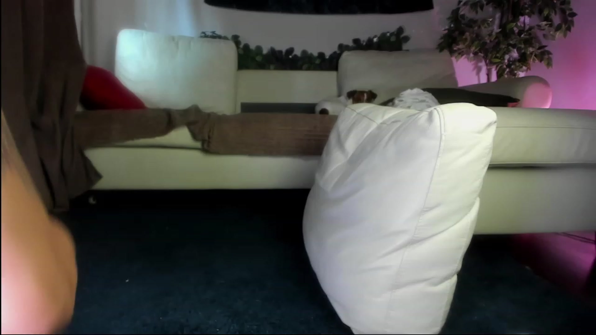 Gallery image thumbnail from Littlewetgirl's myfreecams stream on, 08/09/2023, 04:19 image 4 of 20