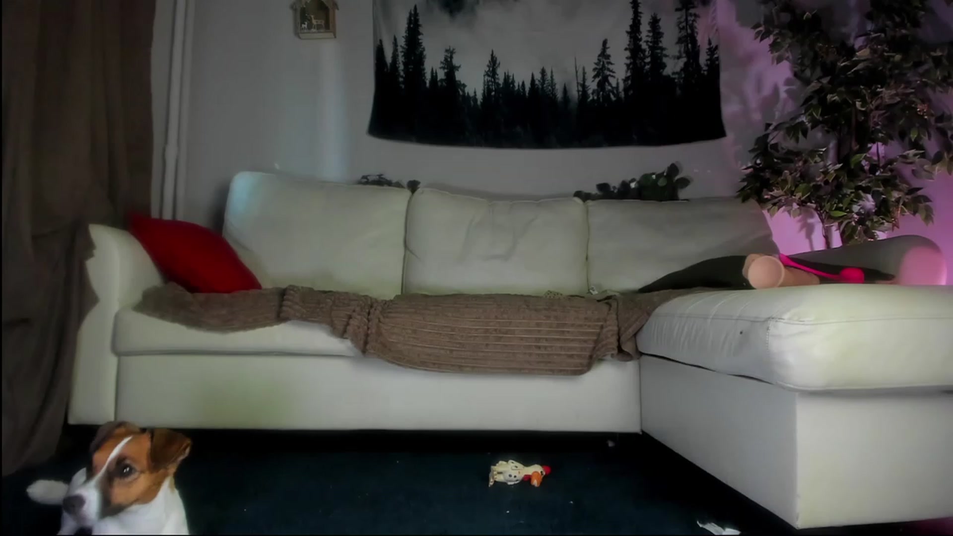 Gallery image thumbnail from Littlewetgirl's myfreecams stream on, 08/09/2023, 12:45 image 16 of 20