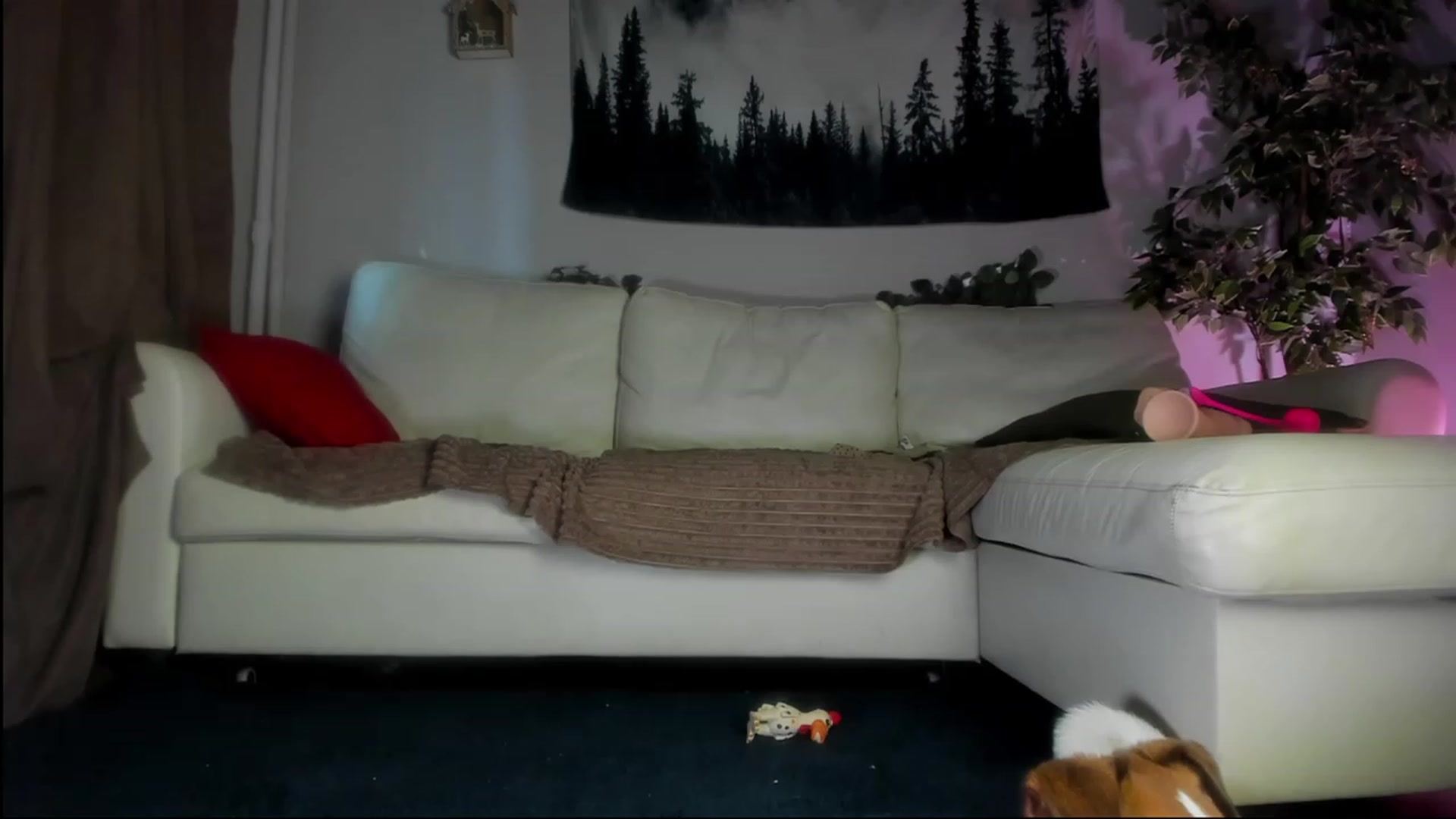 Gallery image thumbnail from Littlewetgirl's myfreecams stream on, 08/09/2023, 12:45 image 15 of 20