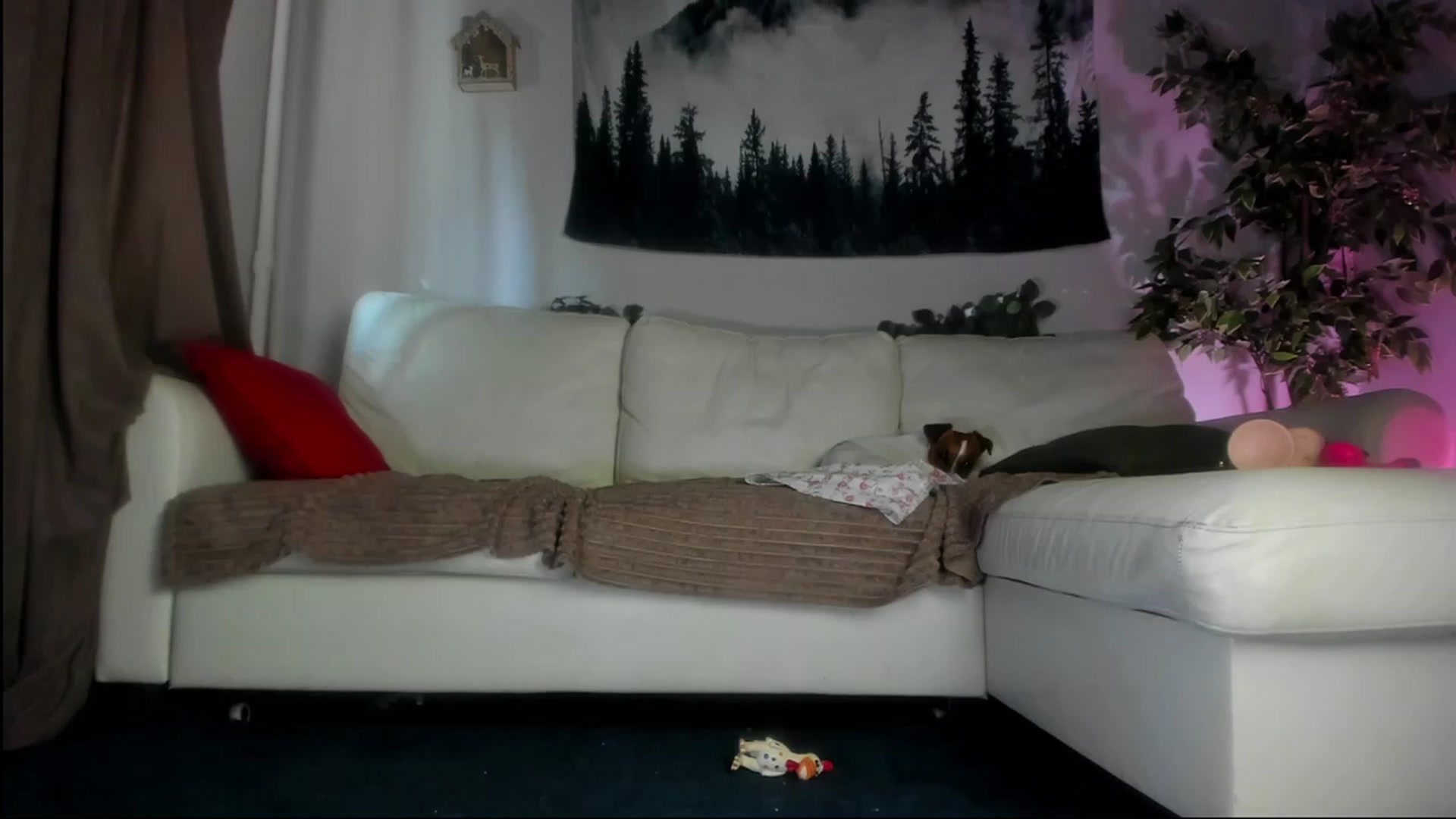 Gallery image thumbnail from Littlewetgirl's myfreecams stream on, 08/10/2023, 04:44 image 20 of 20