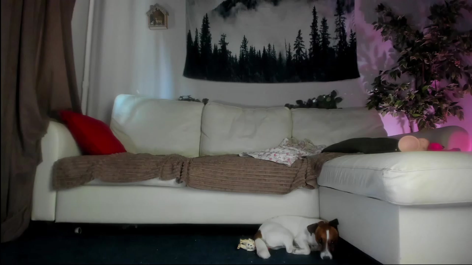 Gallery image thumbnail from Littlewetgirl's myfreecams stream on, 08/10/2023, 04:44 image 17 of 20