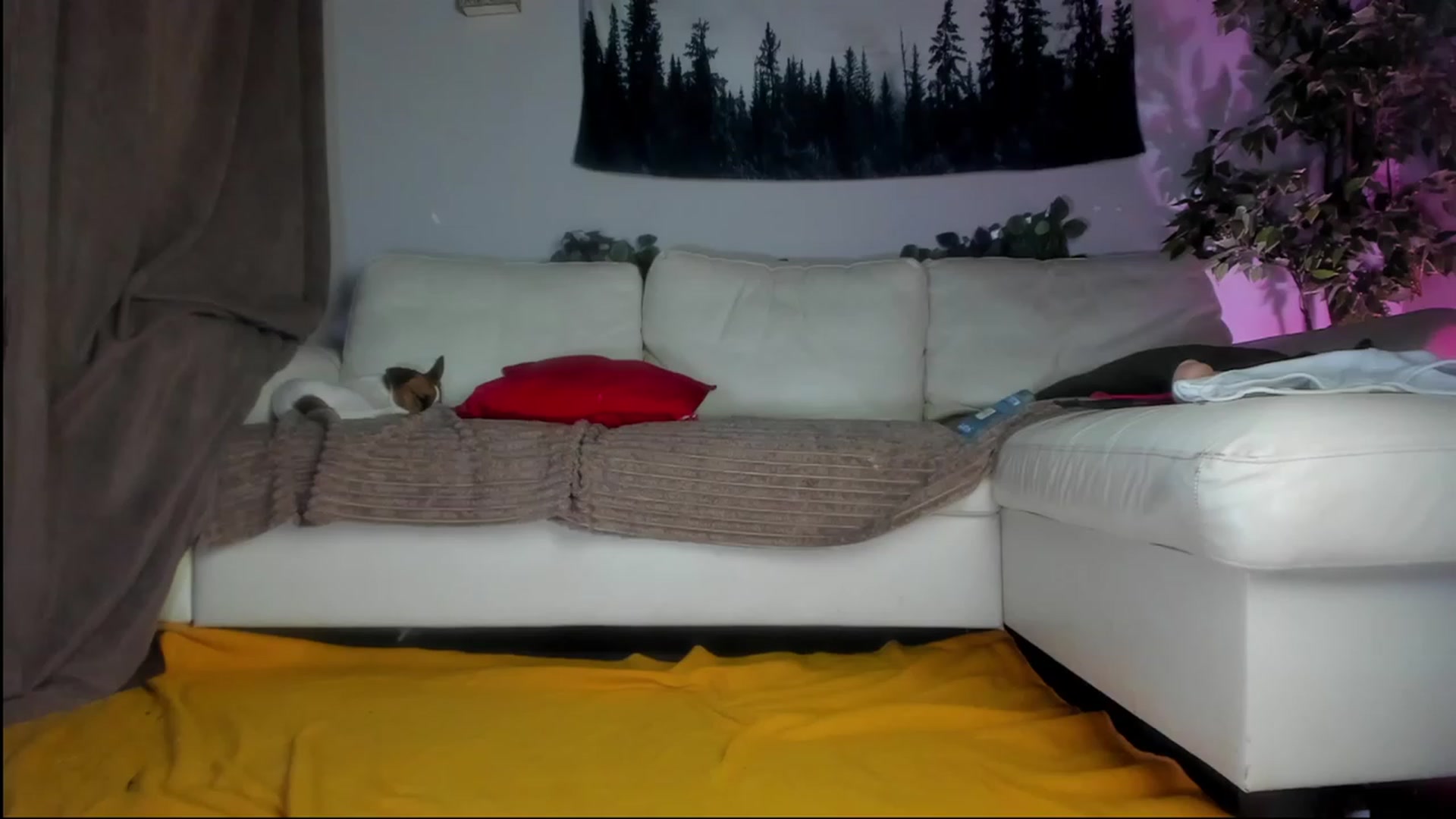 Gallery image thumbnail from Littlewetgirl's myfreecams stream on, 08/16/2023, 04:24 image 12 of 20