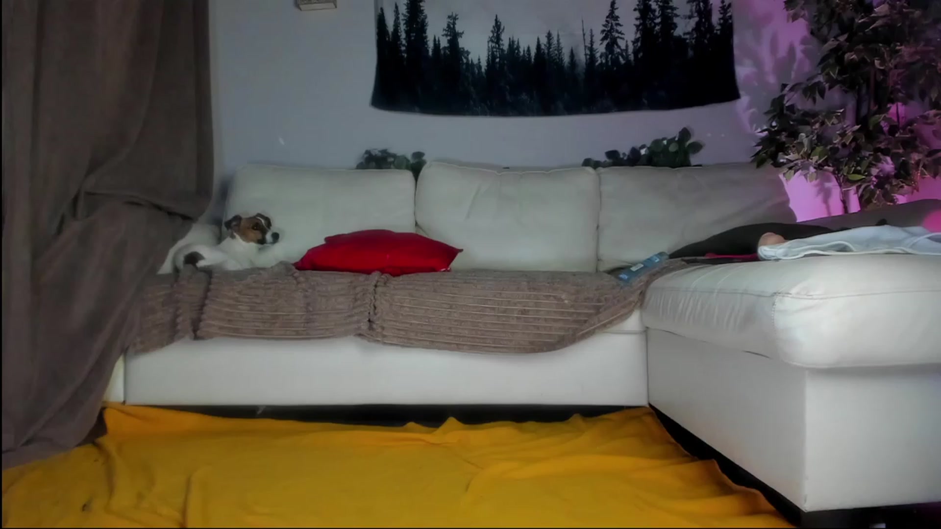 Gallery image thumbnail from Littlewetgirl's myfreecams stream on, 08/16/2023, 04:24 image 15 of 20