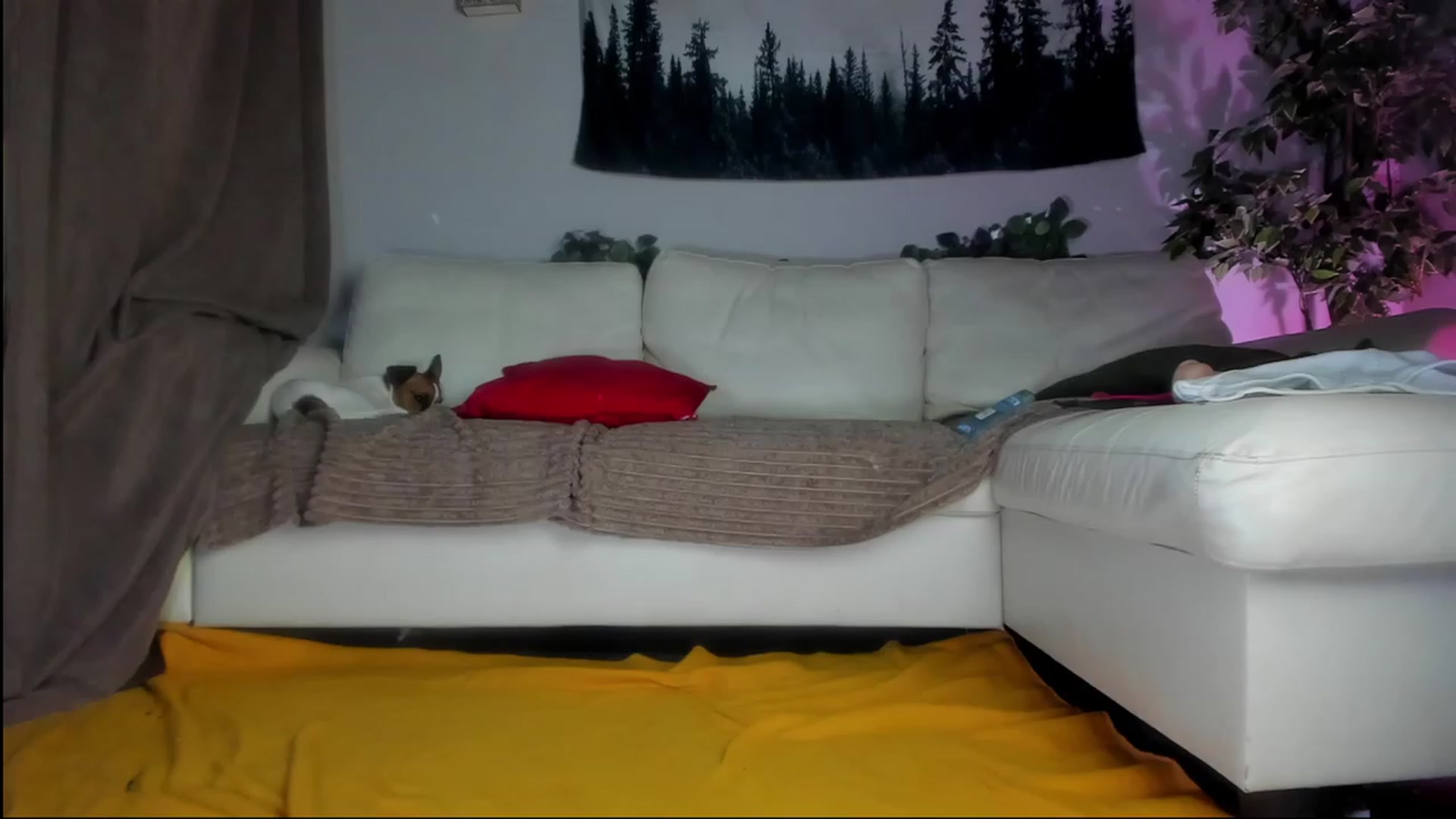 Gallery image thumbnail from Littlewetgirl's myfreecams stream on, 08/16/2023, 04:24 image 14 of 20