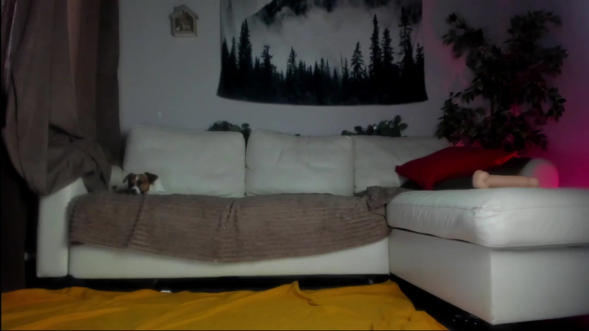 Gallery image thumbnail from Littlewetgirl's myfreecams stream on, 08/18/2023, 05:23 image 20 of 20
