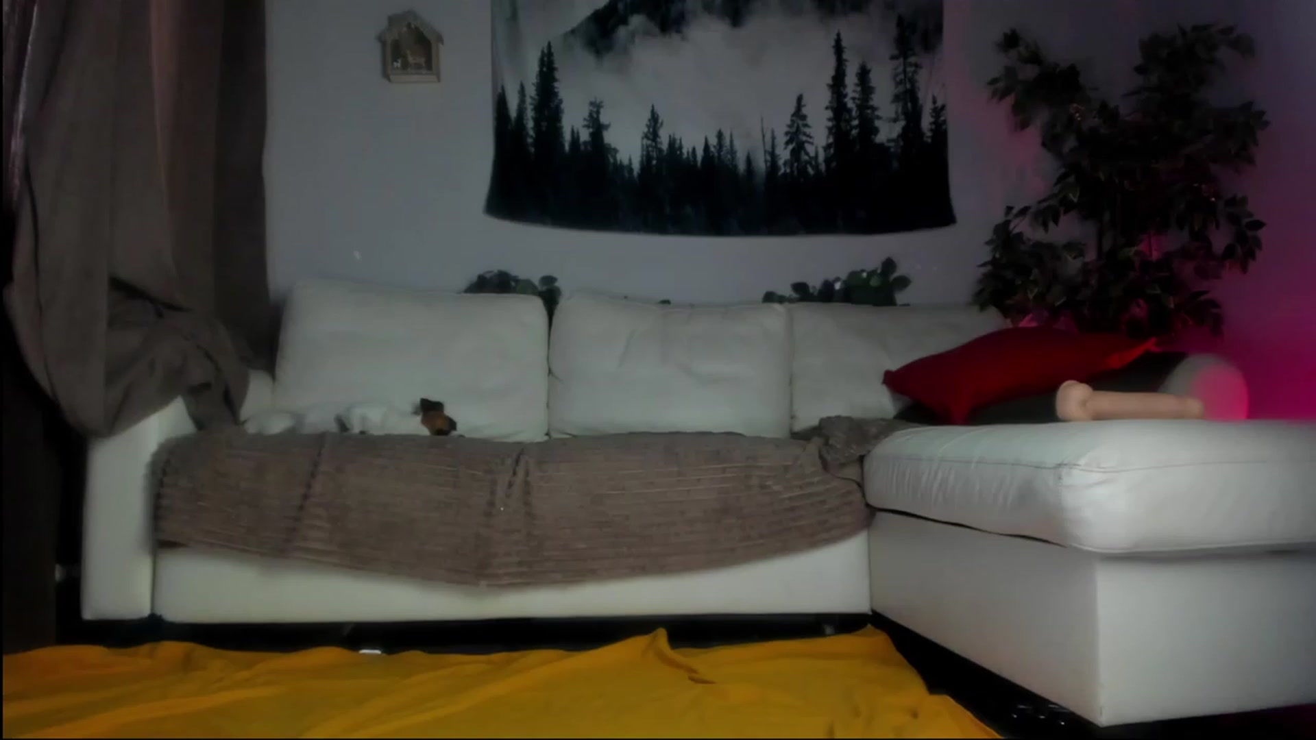 Gallery image thumbnail from Littlewetgirl's myfreecams stream on, 08/18/2023, 05:23 image 19 of 20