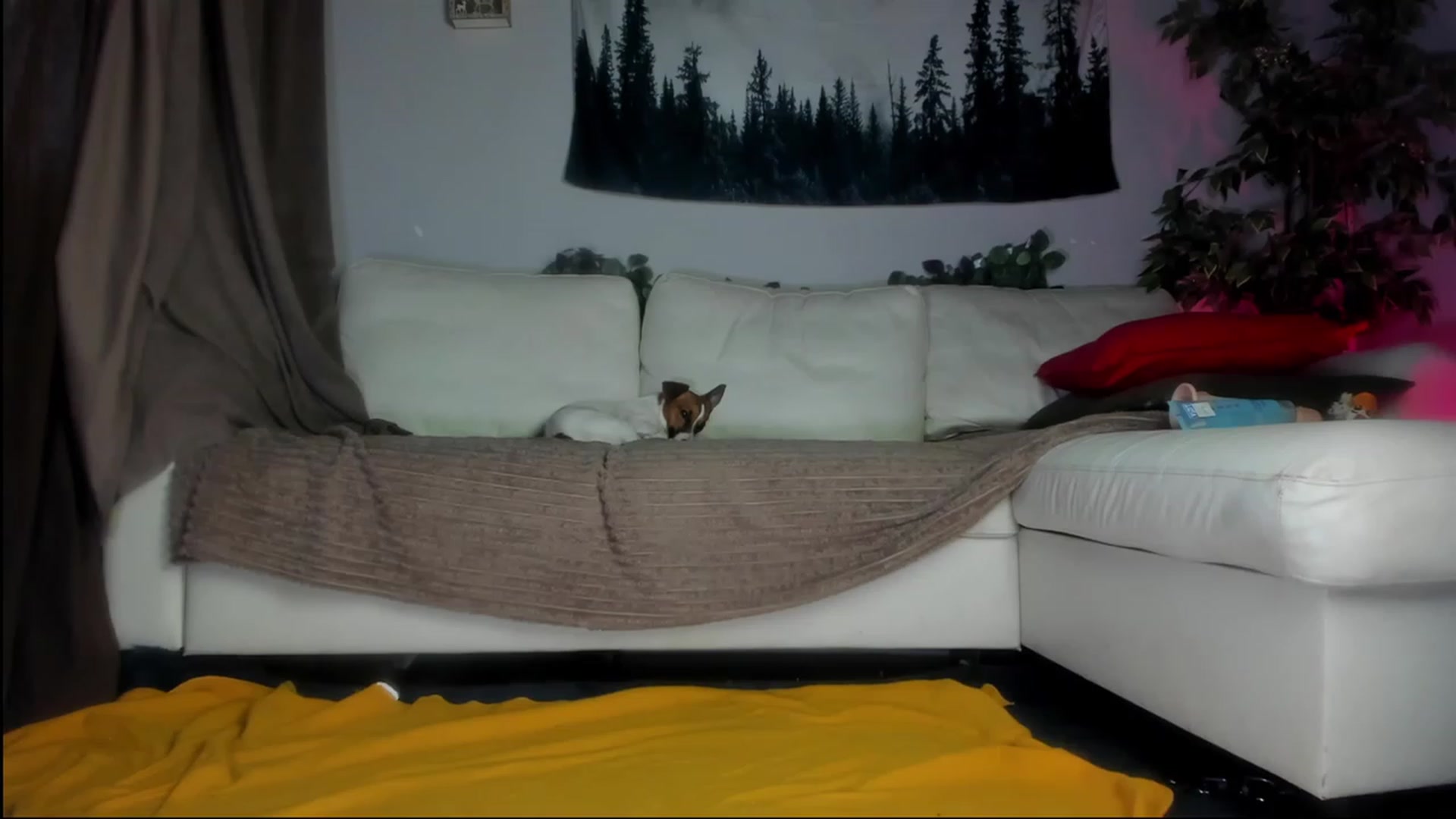 Gallery image thumbnail from Littlewetgirl's myfreecams stream on, 08/20/2023, 11:44 image 5 of 20