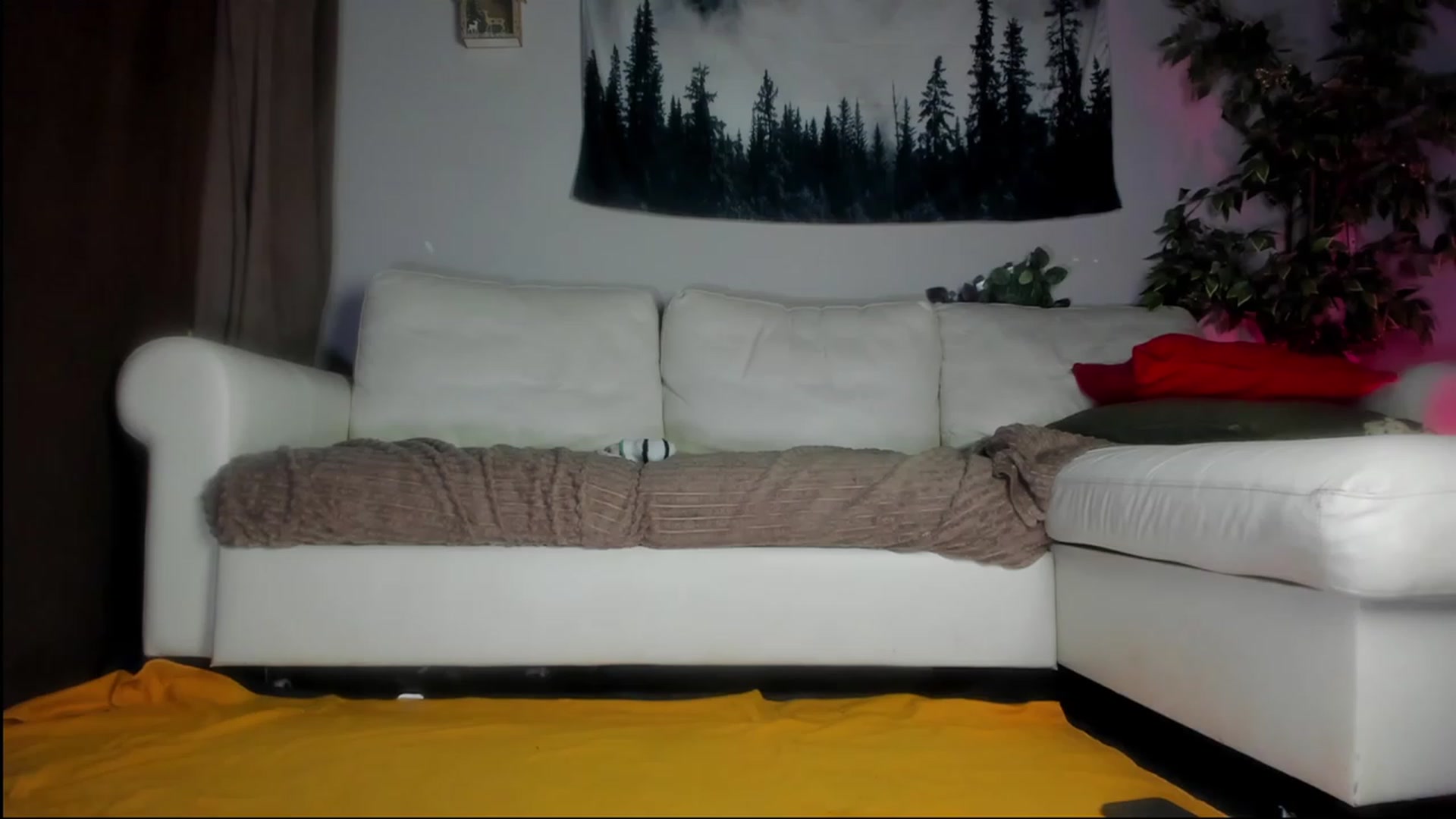 Gallery image thumbnail from Littlewetgirl's myfreecams stream on, 08/22/2023, 15:14 image 12 of 20