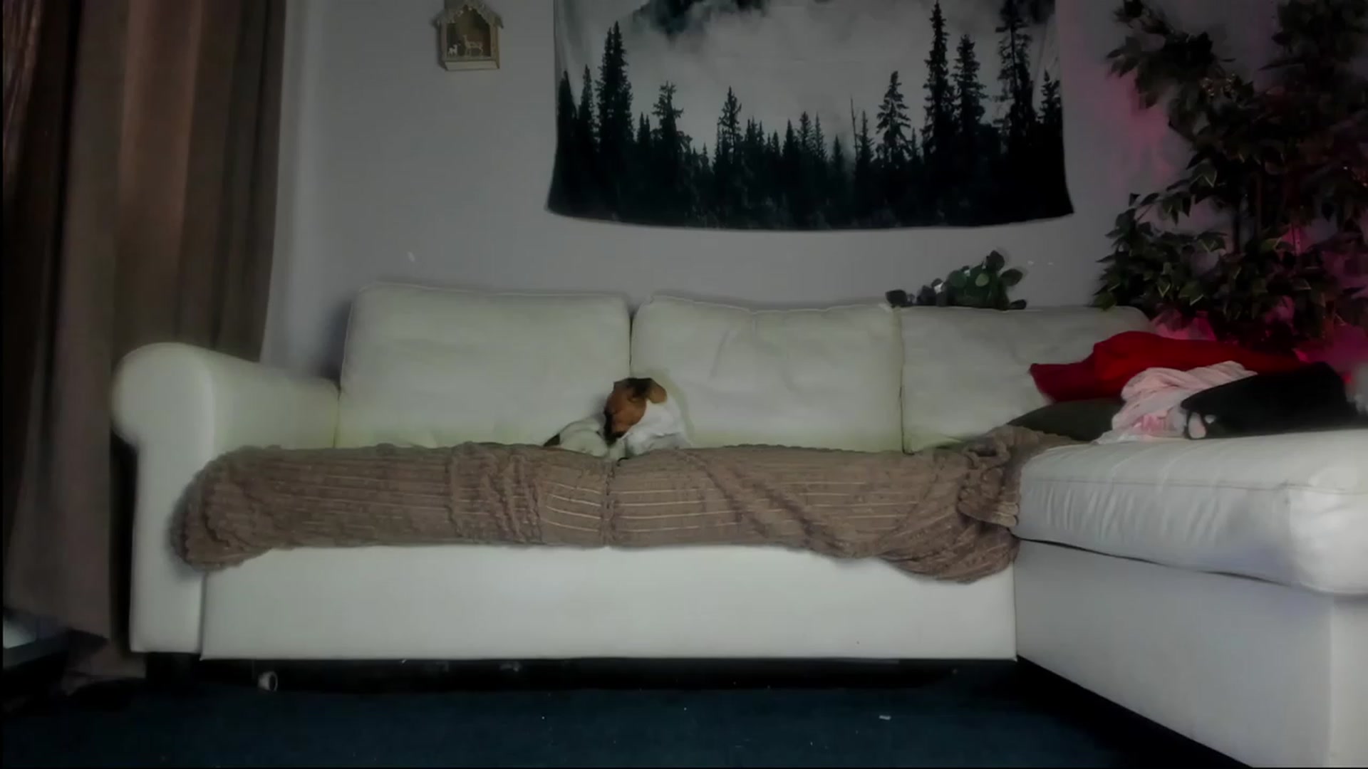 Gallery image thumbnail from Littlewetgirl's myfreecams stream on, 08/27/2023, 05:00 image 17 of 20