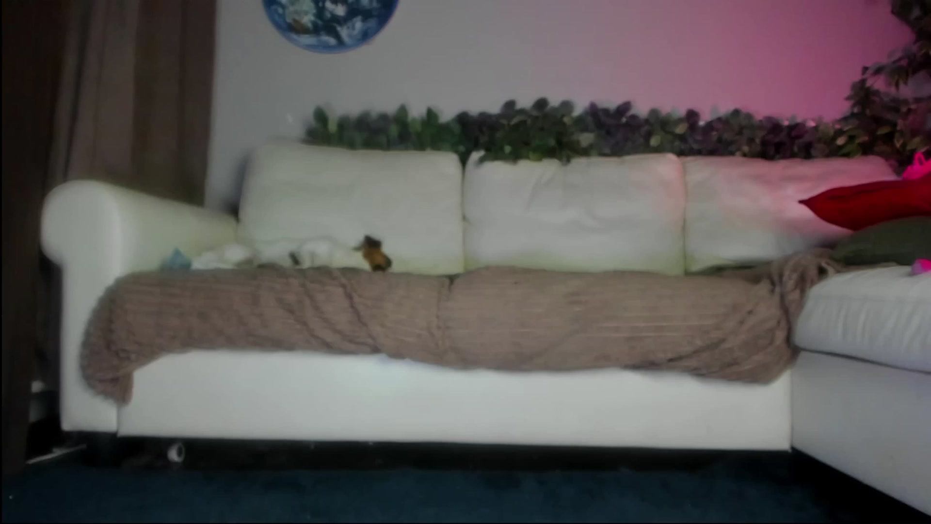 Gallery image thumbnail from Littlewetgirl's myfreecams stream on, 09/02/2023, 14:24 image 20 of 20