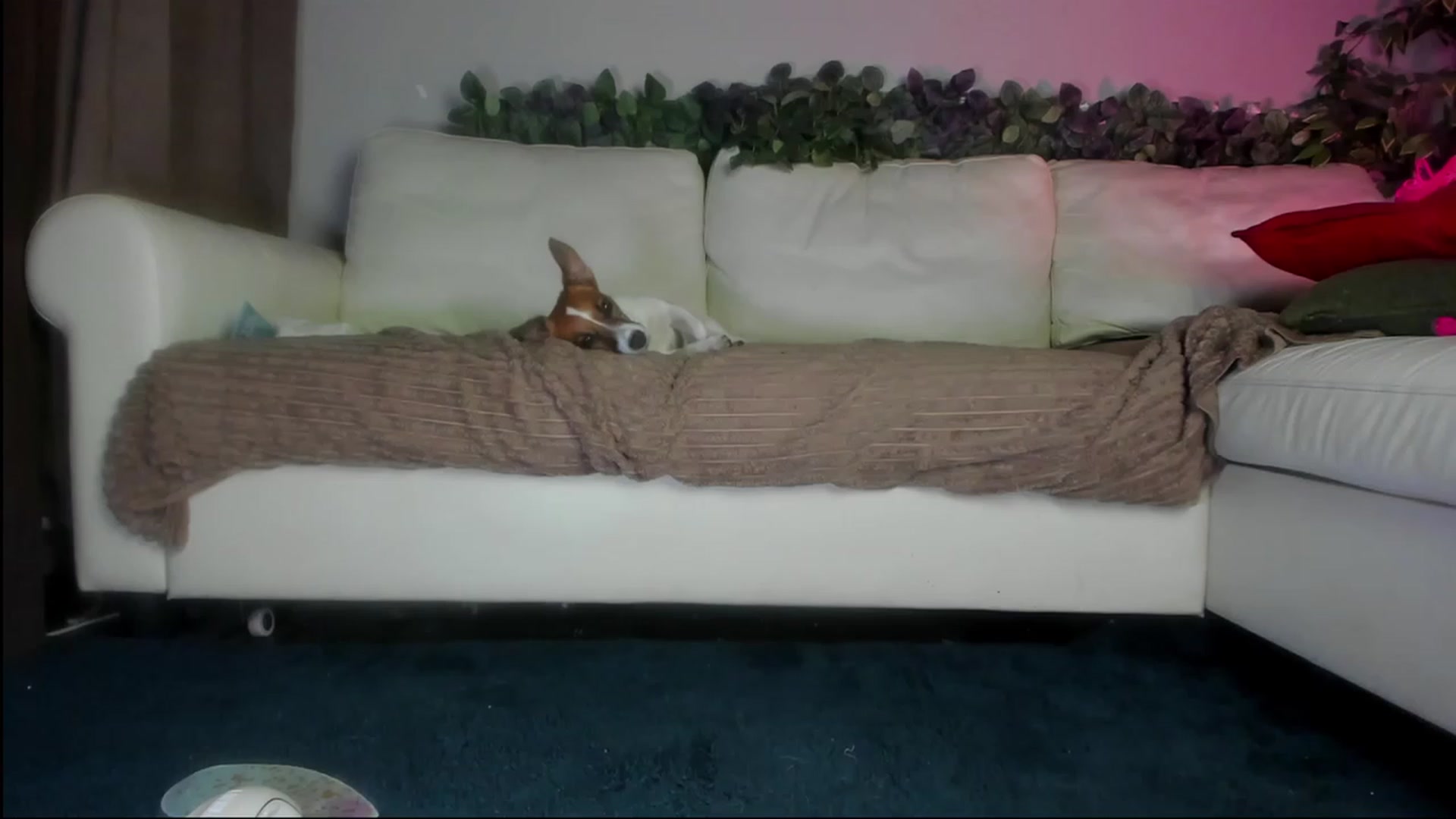 Gallery image thumbnail from Littlewetgirl's myfreecams stream on, 09/02/2023, 14:24 image 4 of 20