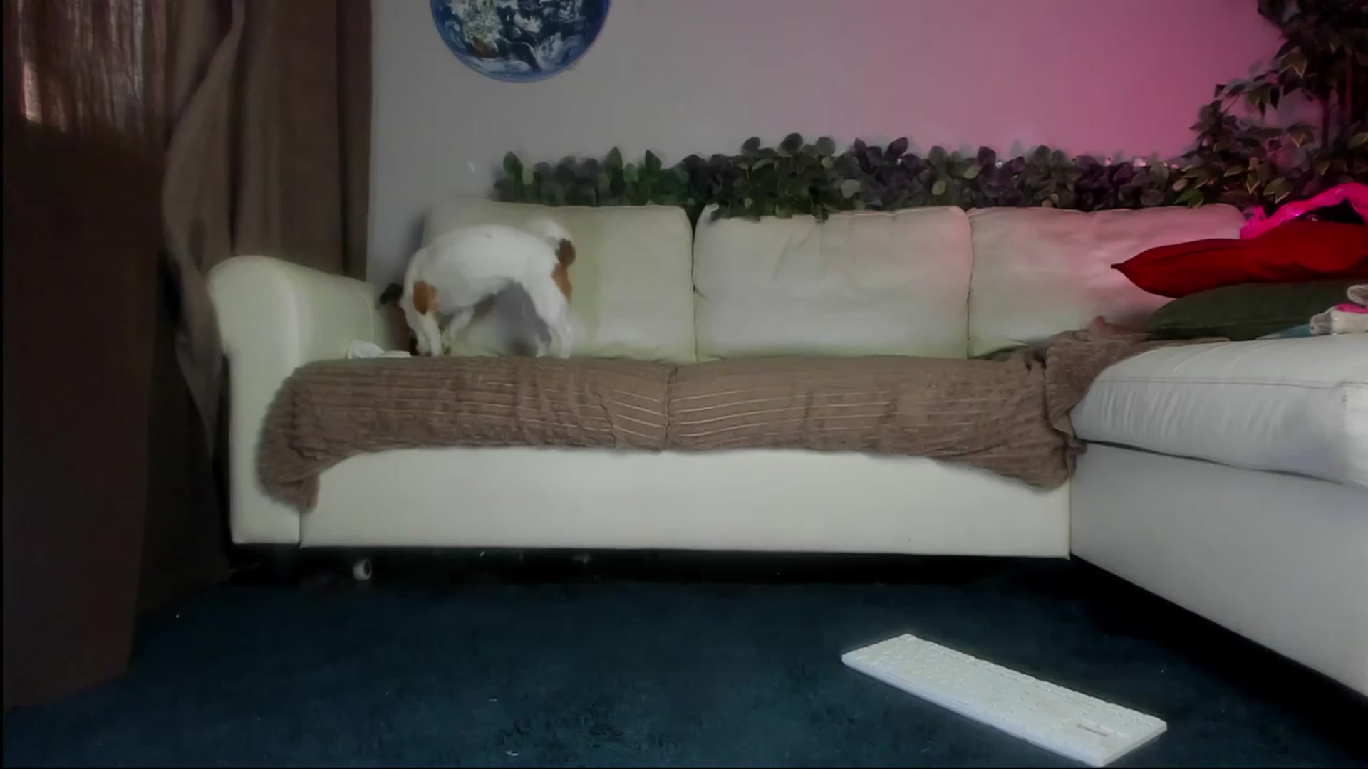 Gallery image thumbnail from Littlewetgirl's myfreecams stream on, 09/03/2023, 04:27 image 5 of 20