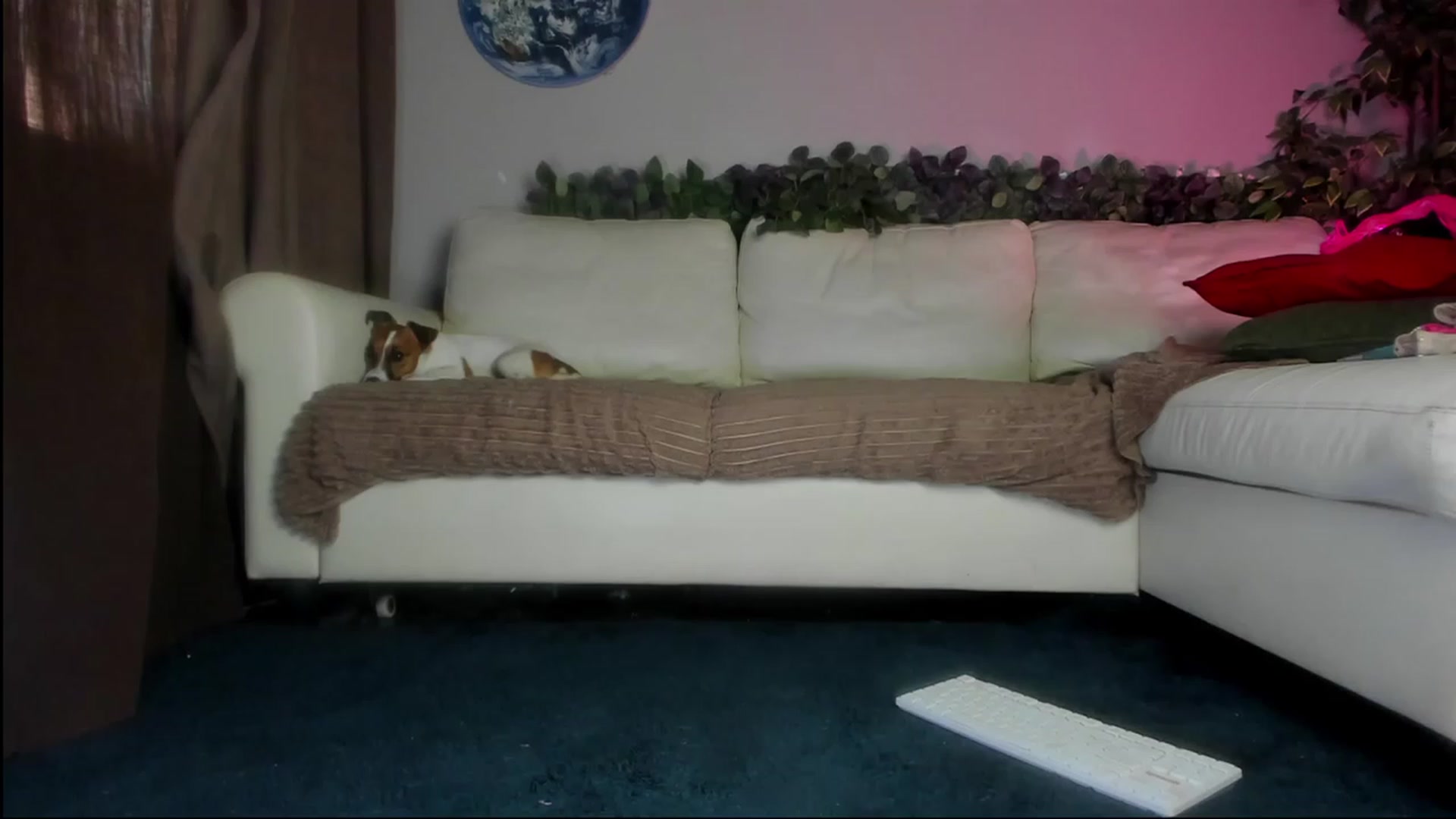 Gallery image thumbnail from Littlewetgirl's myfreecams stream on, 09/03/2023, 04:27 image 6 of 20