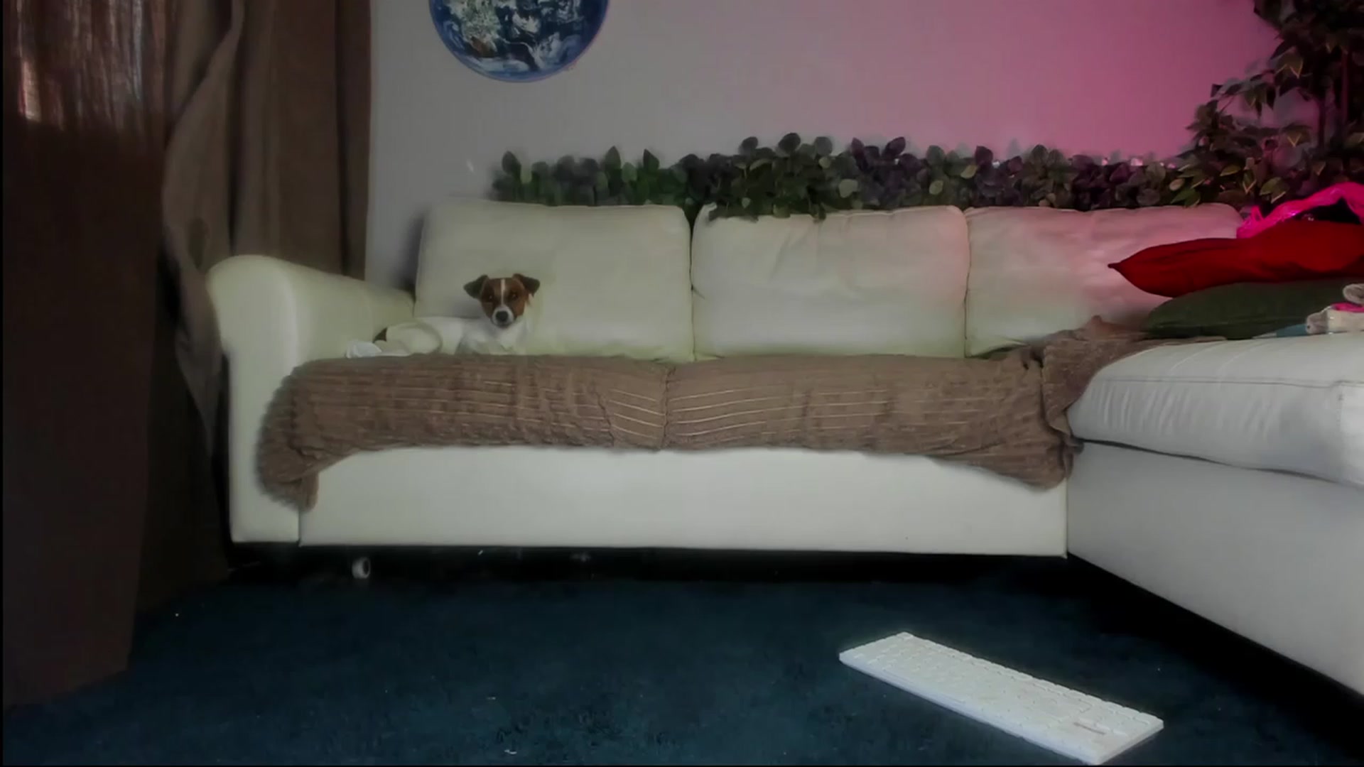 Gallery image thumbnail from Littlewetgirl's myfreecams stream on, 09/03/2023, 04:27 image 4 of 20