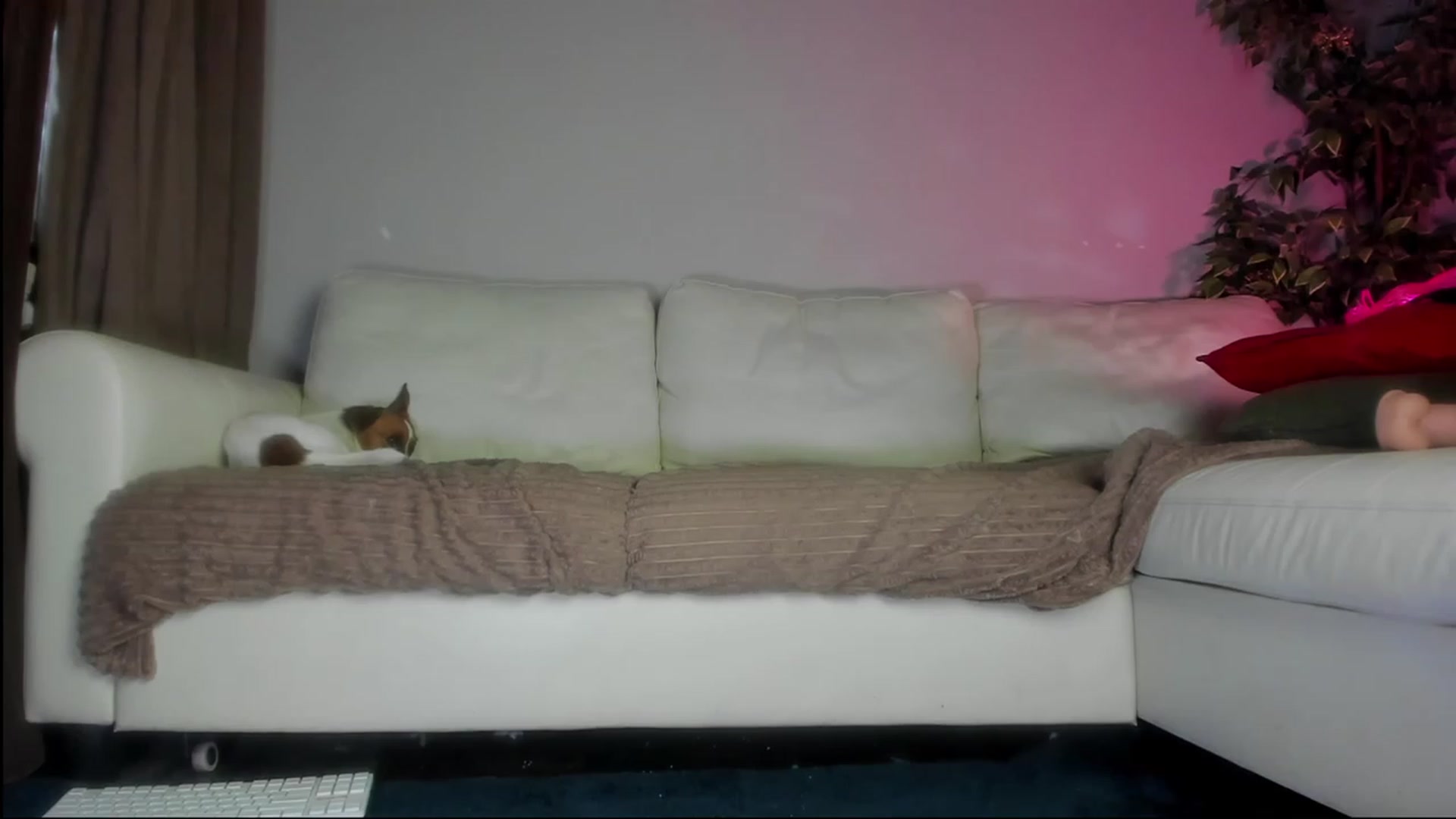 Gallery image thumbnail from Littlewetgirl's myfreecams stream on, 09/04/2023, 06:09 image 1 of 20
