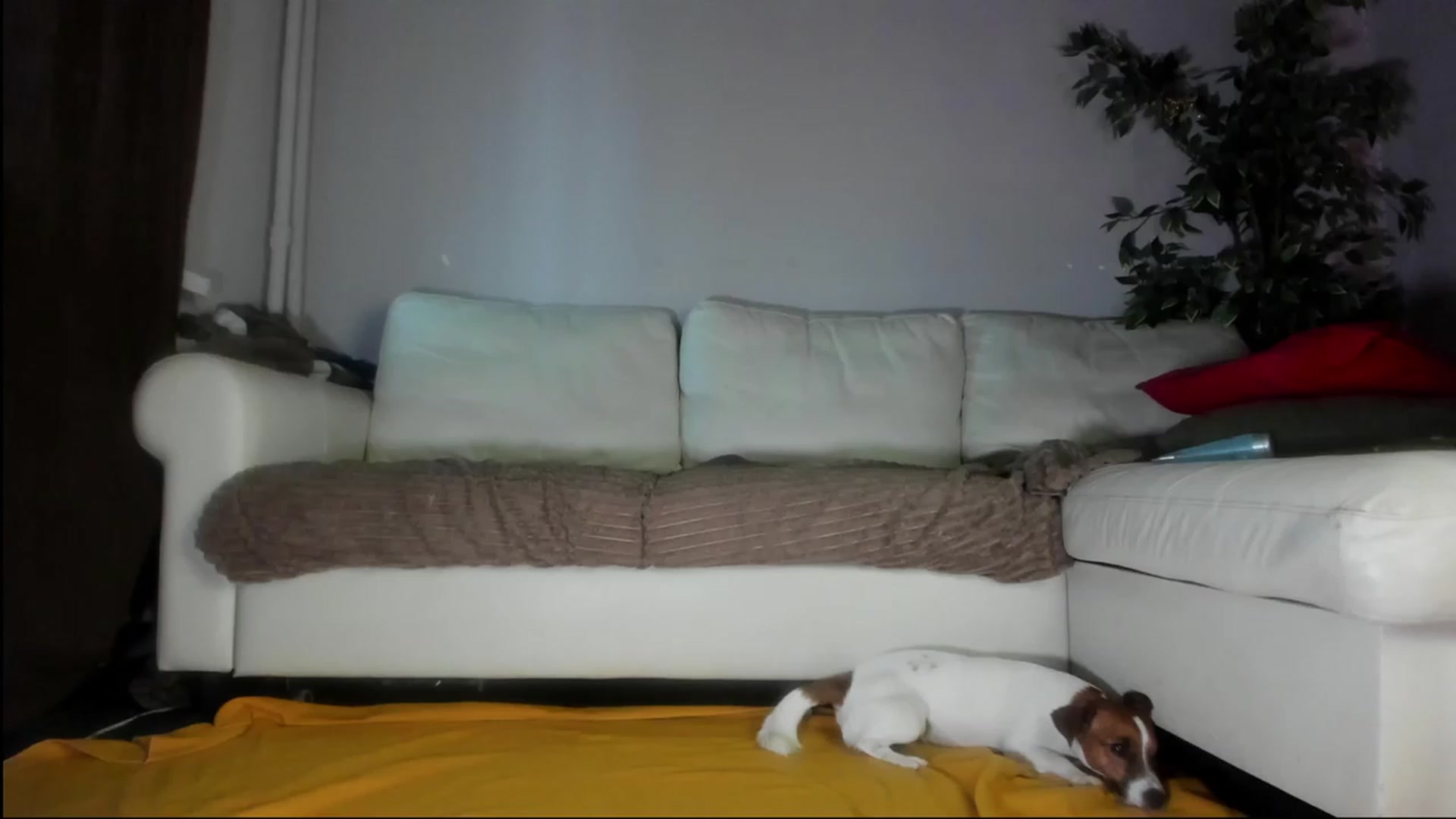 Gallery image thumbnail from Littlewetgirl's myfreecams stream on, 09/10/2023, 12:27 image 10 of 20