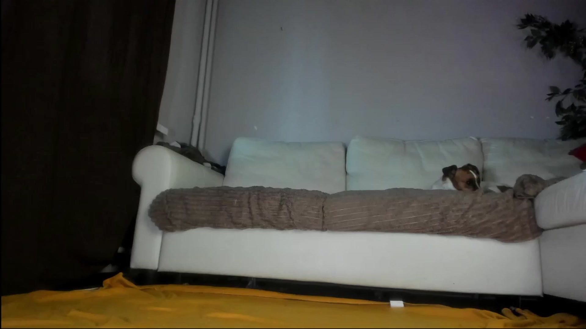 Gallery image thumbnail from Littlewetgirl's myfreecams stream on, 09/10/2023, 12:27 image 20 of 20