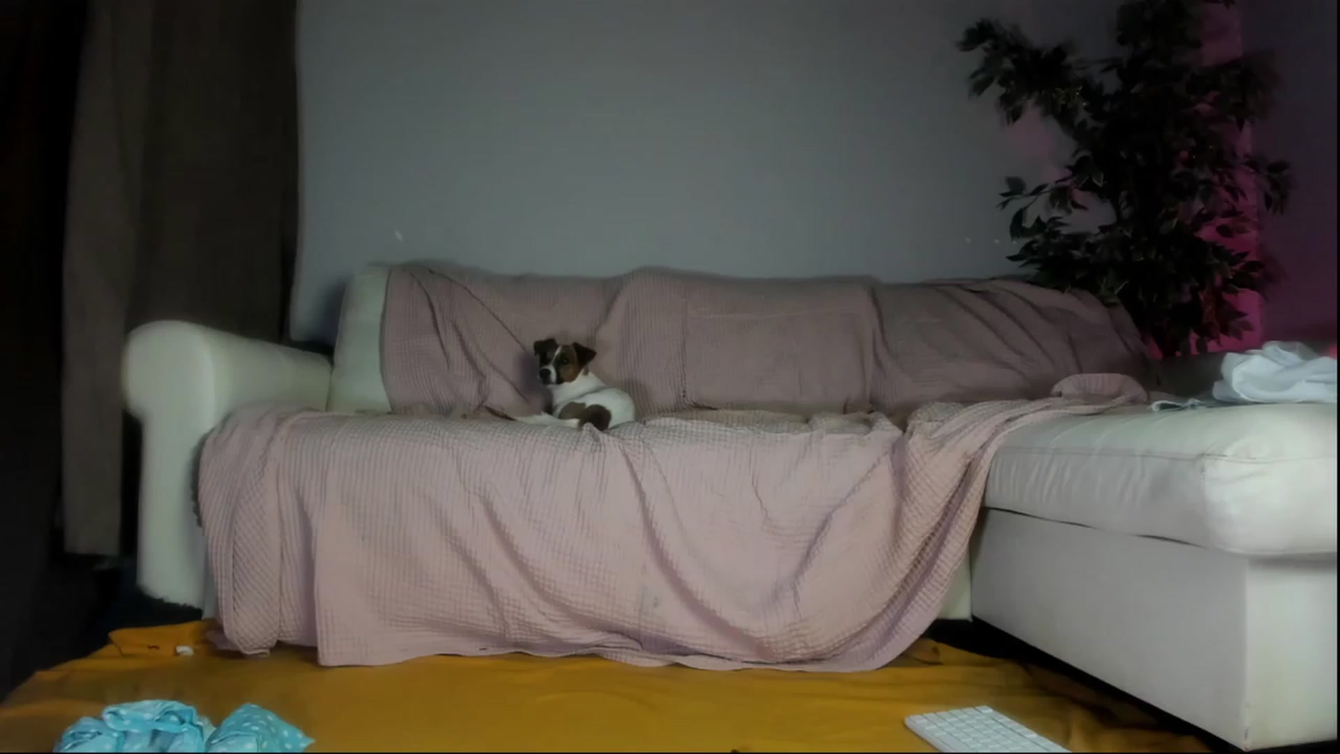 Gallery image thumbnail from Littlewetgirl's myfreecams stream on, 09/11/2023, 15:32 image 16 of 20